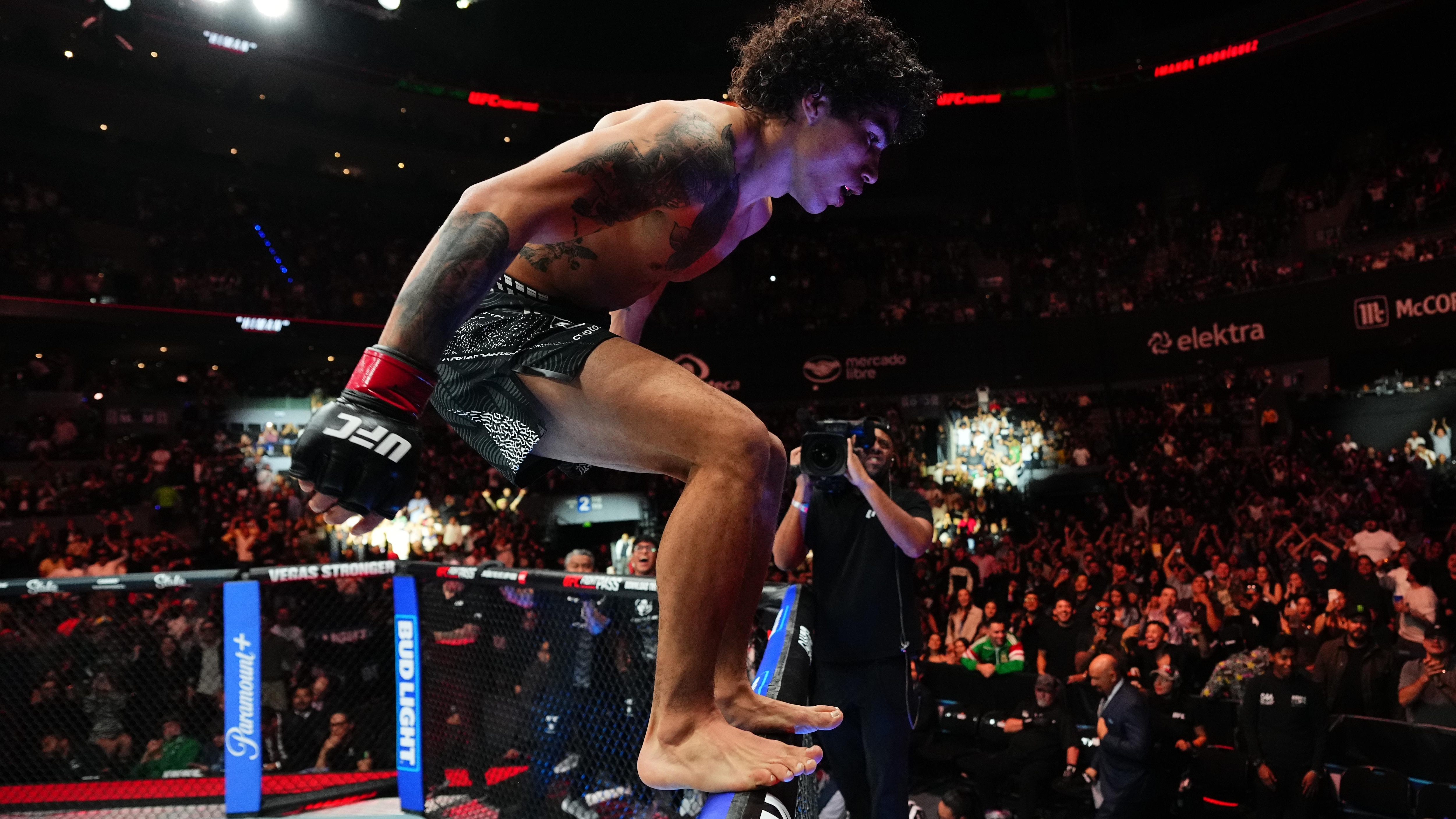 UFC Fight Night: Rodriguez v Borjas