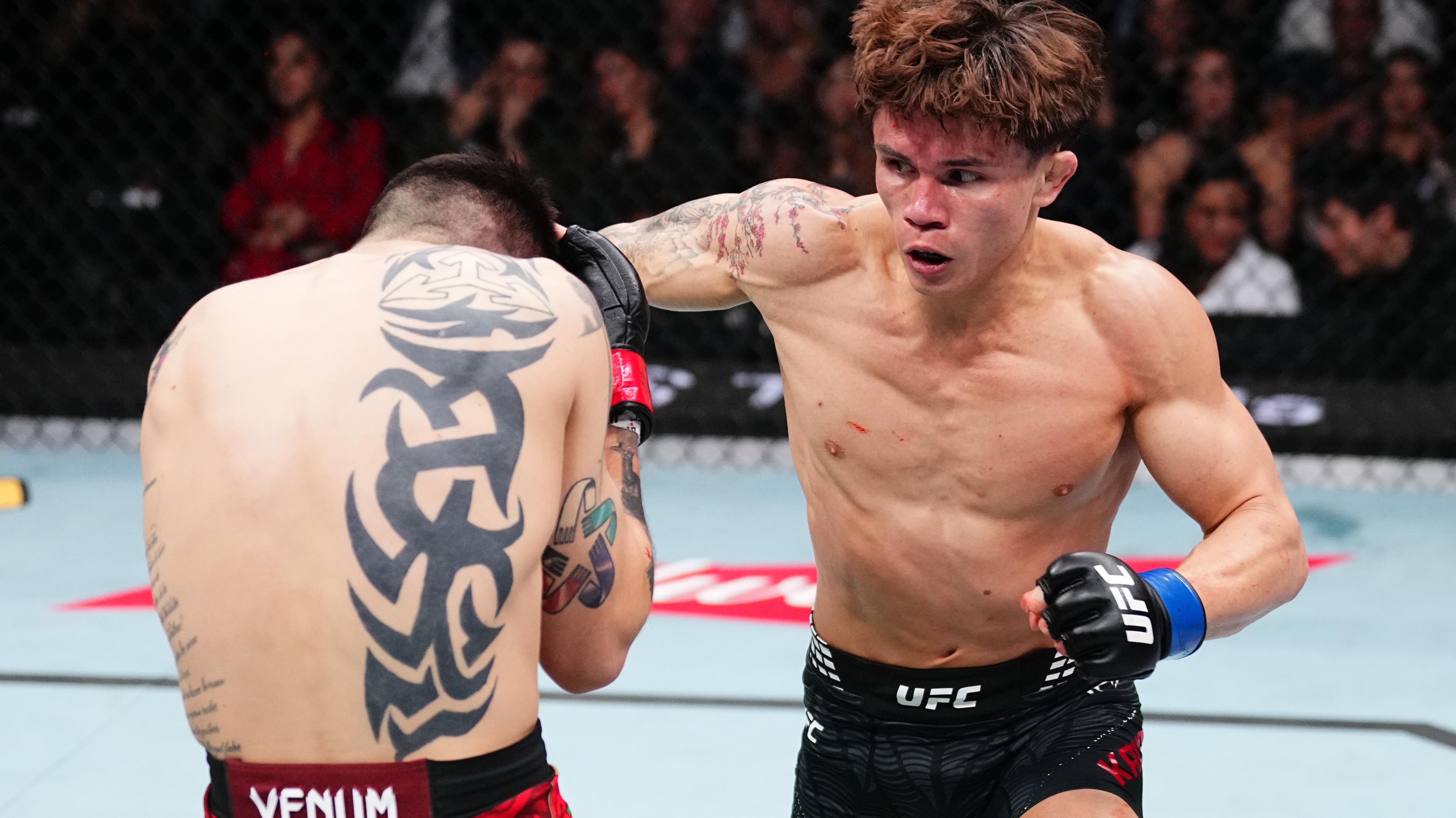 UFC Fight Night: Moreno vs Kavanagh