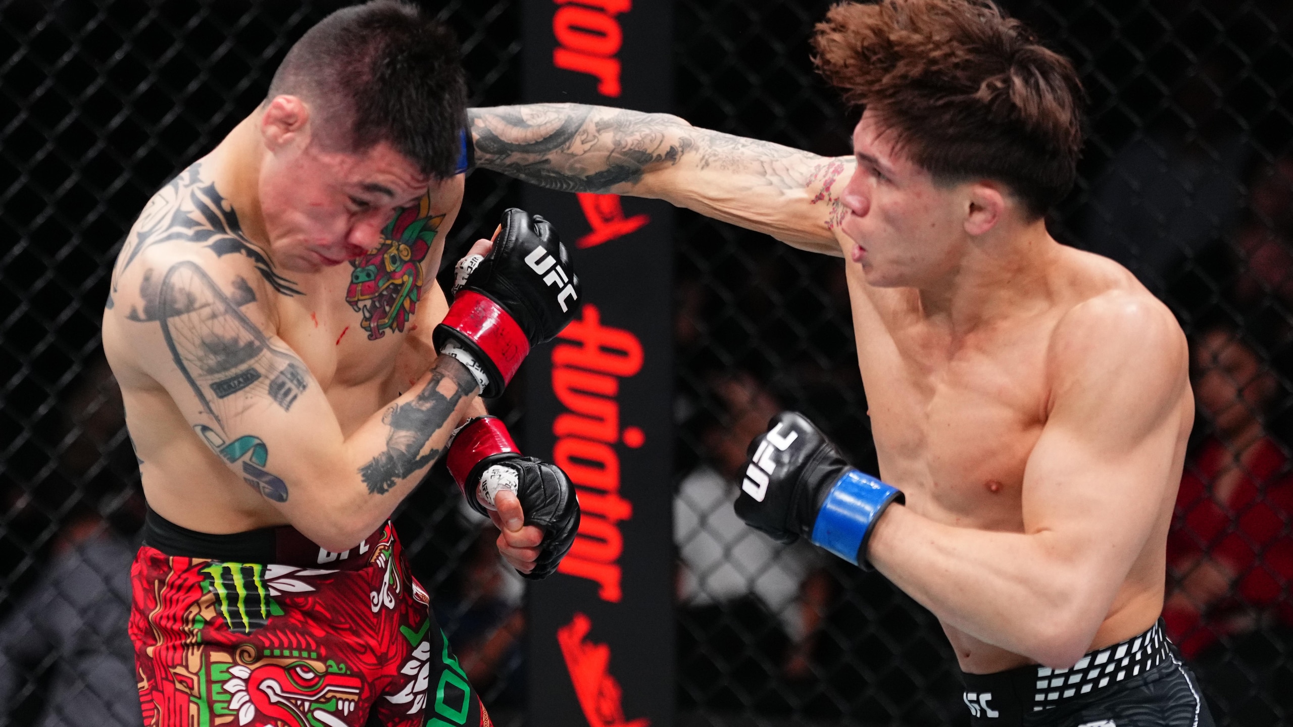 UFC Fight Night: Moreno vs Kavanagh