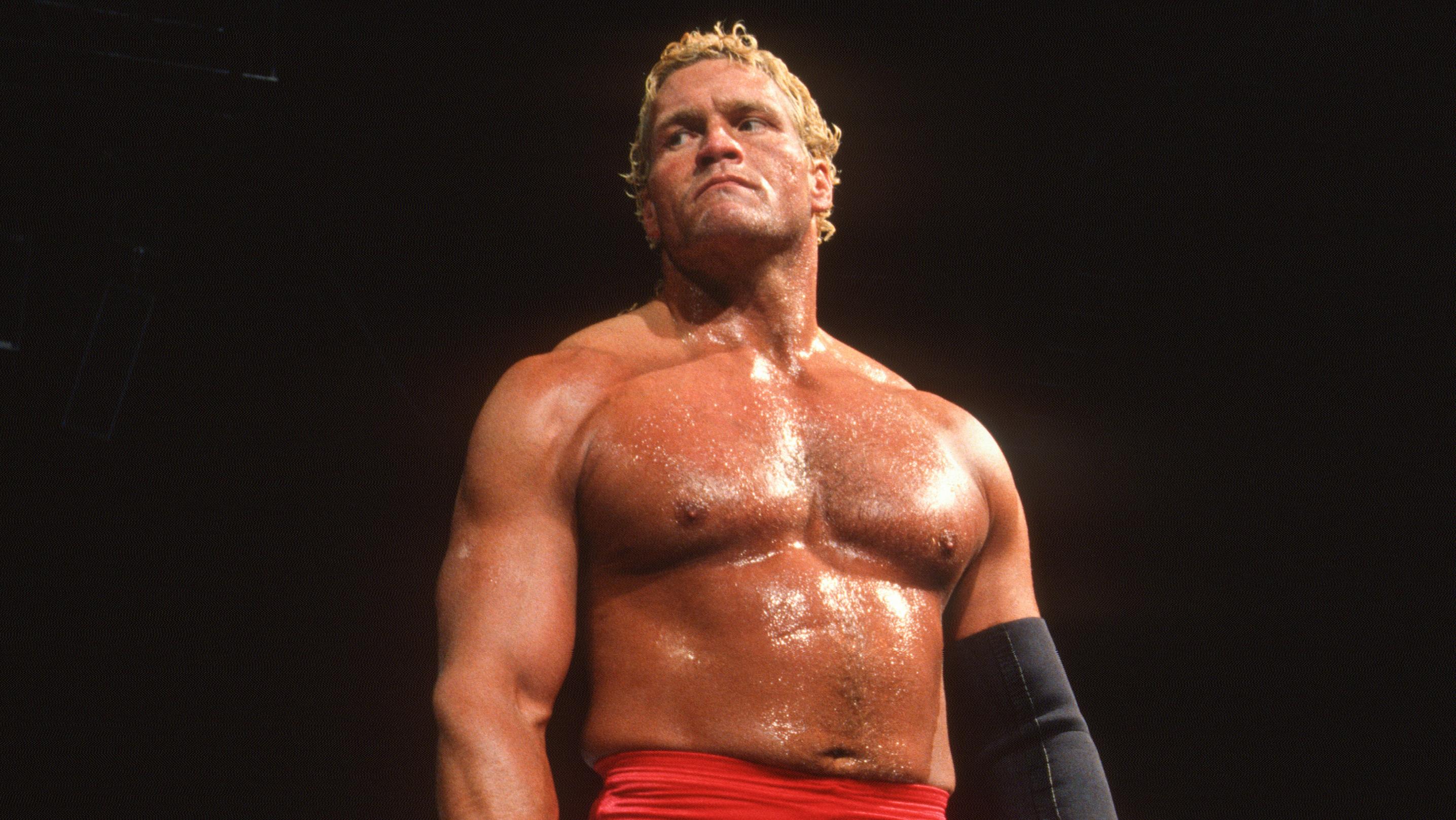 Superstars of Wrestling