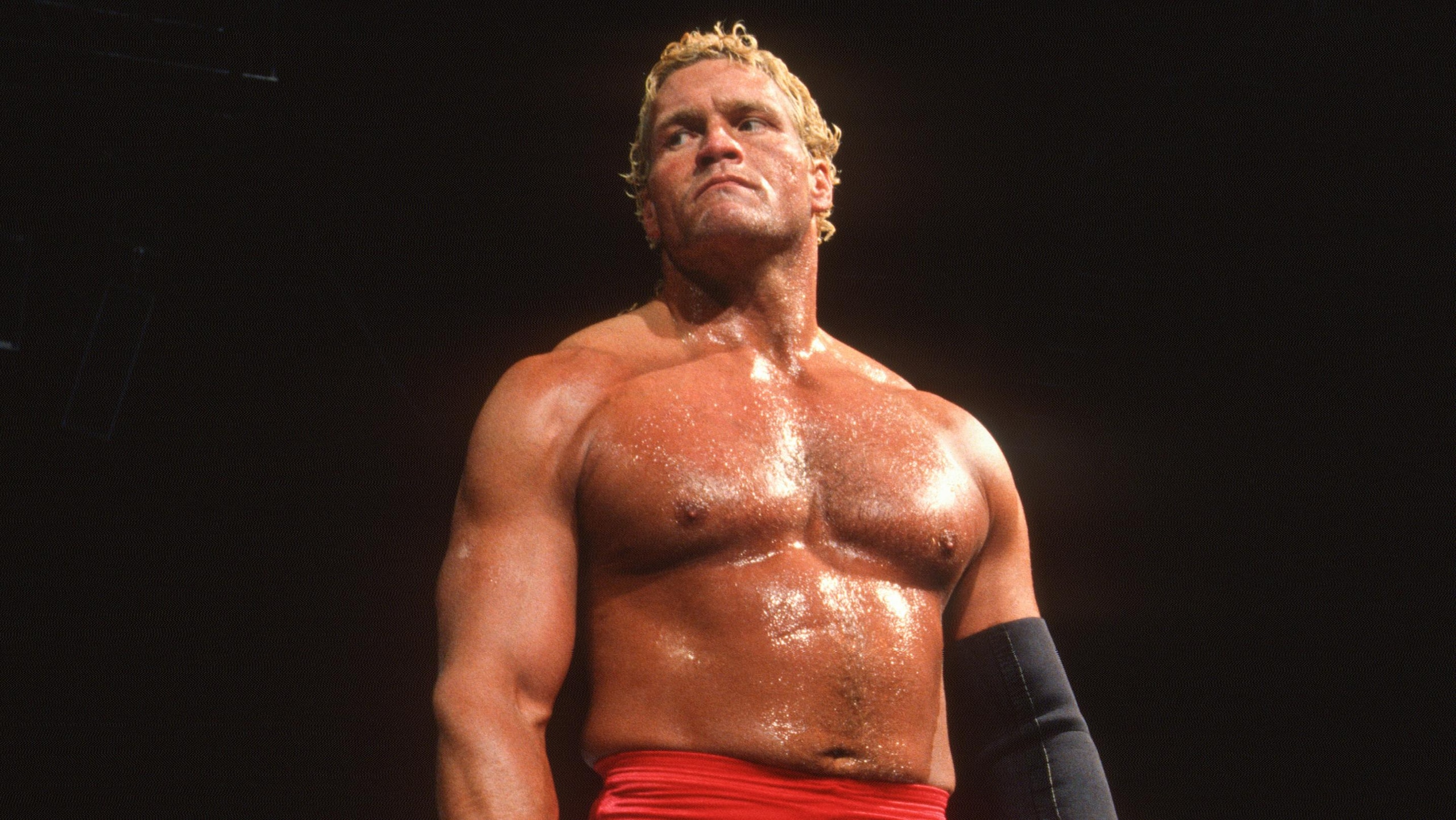 Superstars of Wrestling
