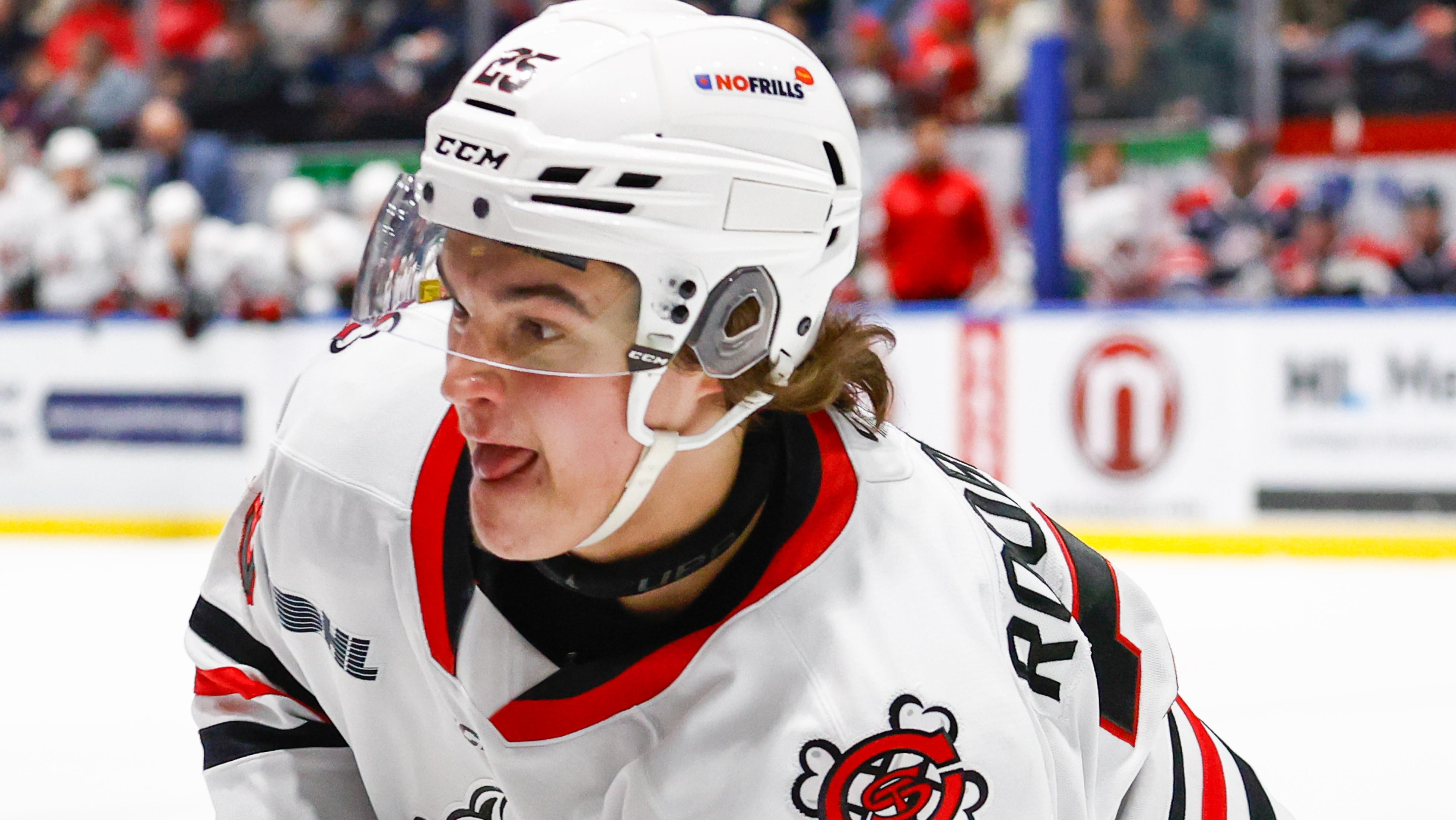 Niagara Ice Dogs v Saginaw Spirit