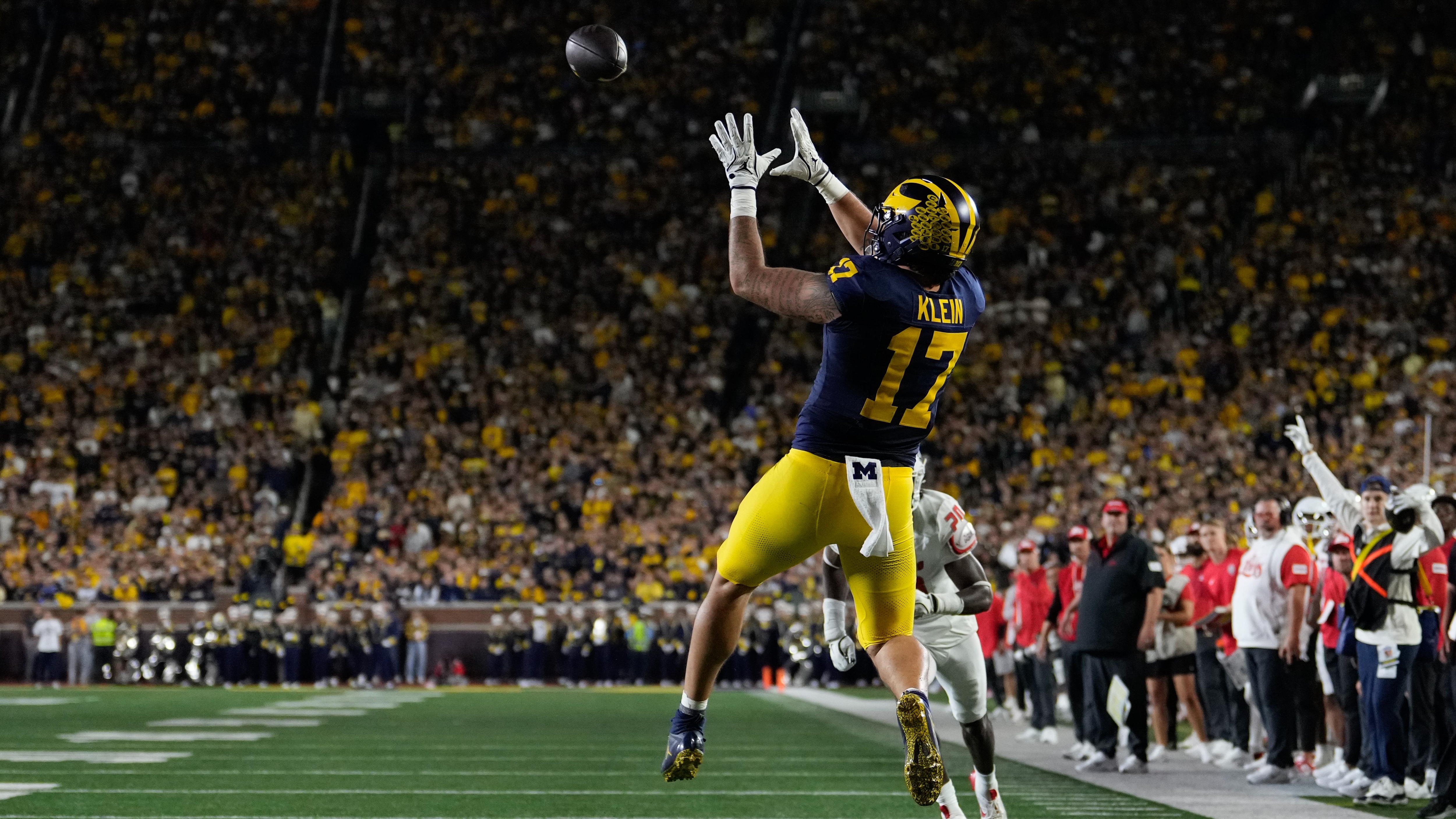 New Mexico v Michigan