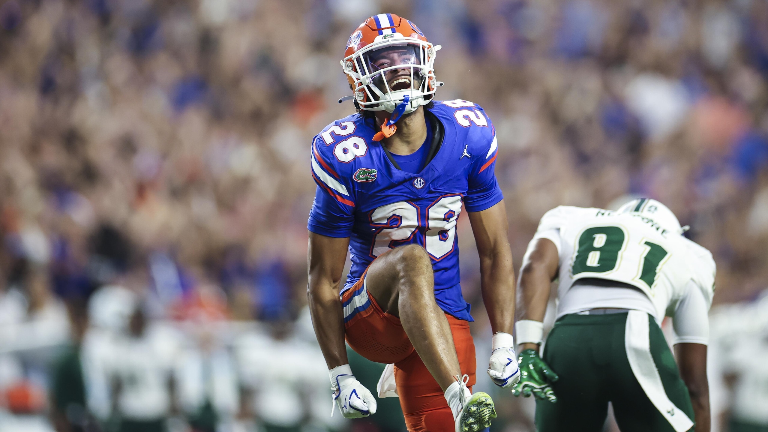 USF v Florida USF v Florida