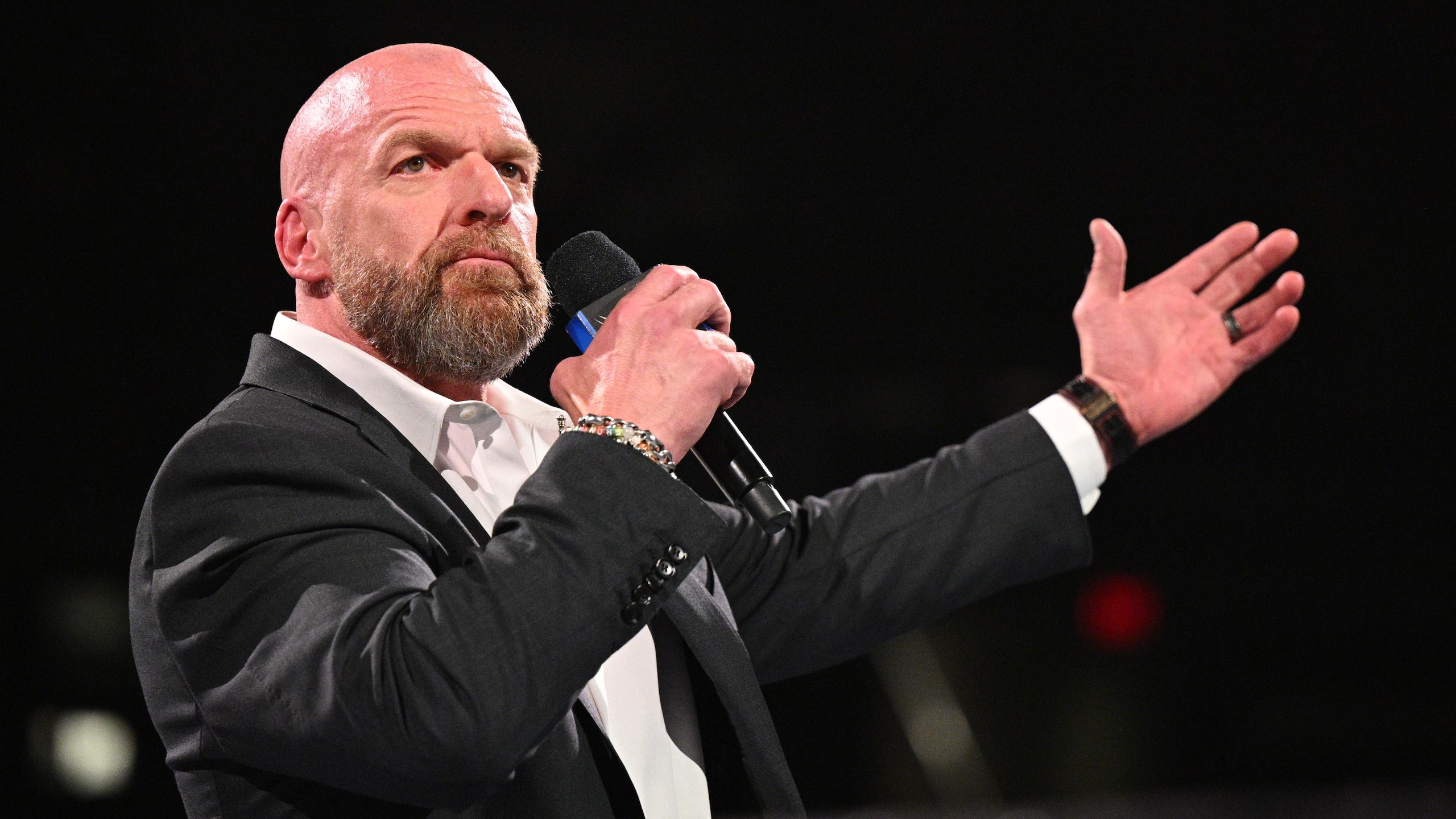 WWE - Wrestlepalooza WWE - Wrestlepalooza