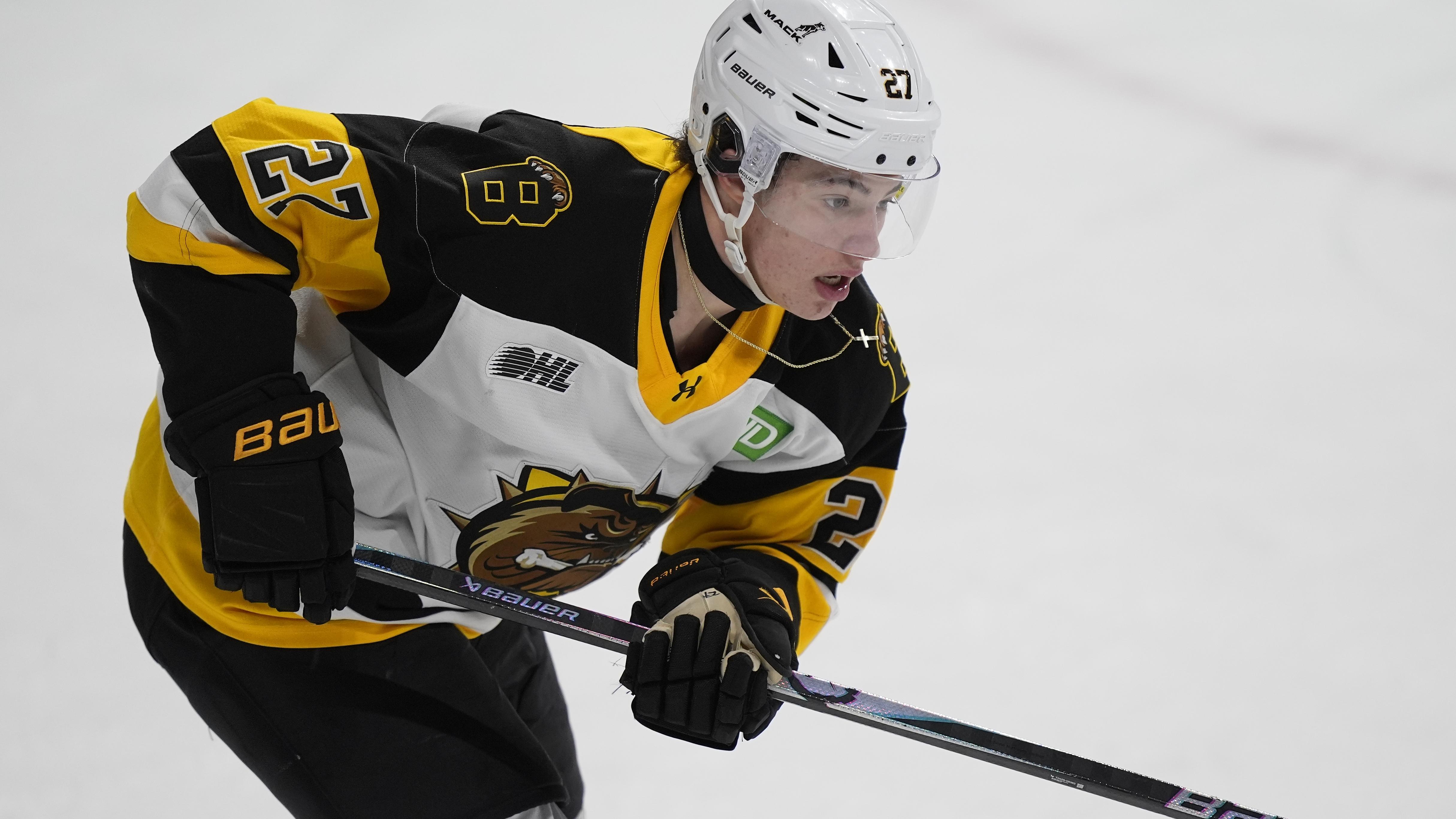 Brantford Bulldogs v Niagara IceDogs