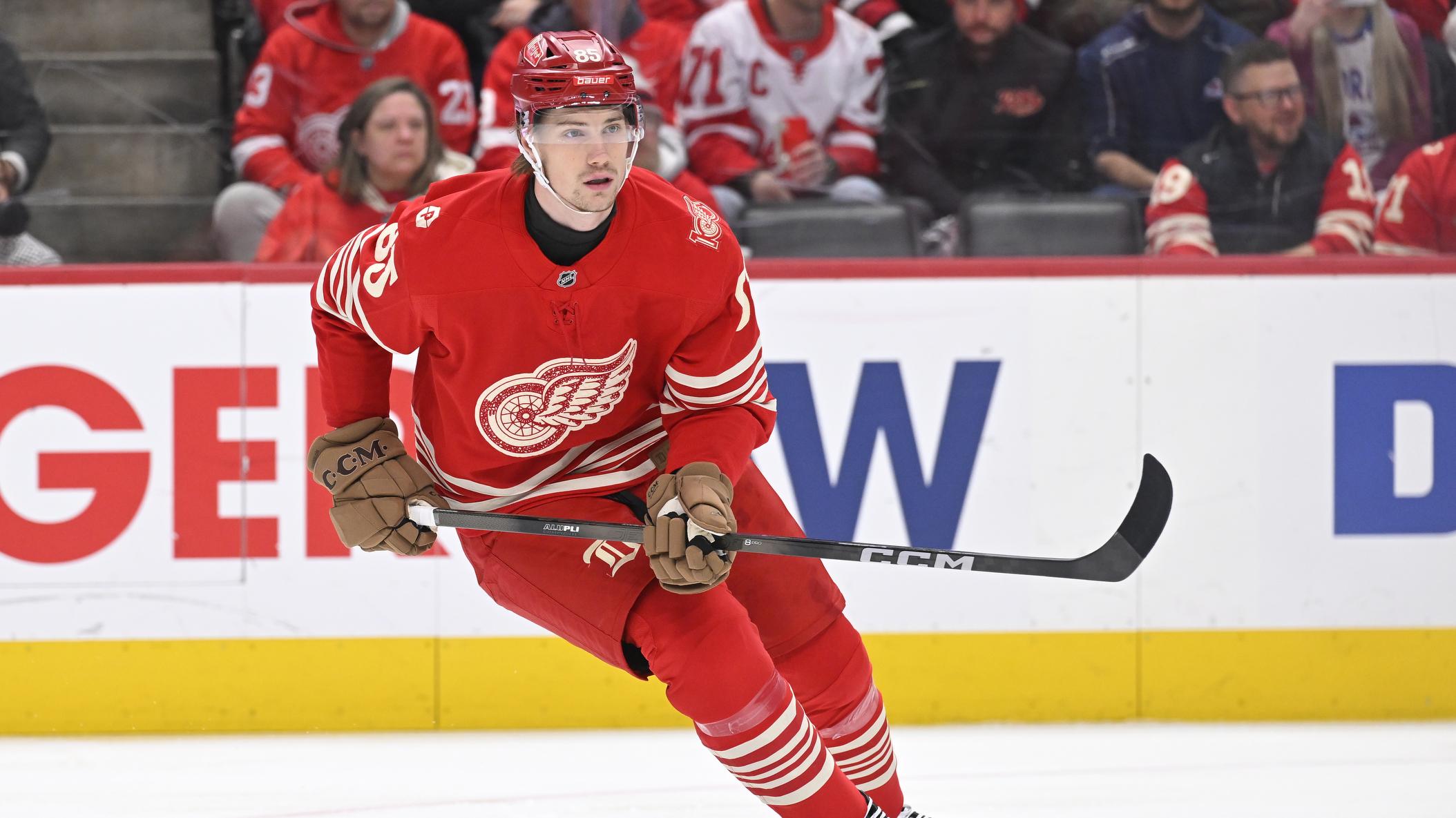 NHL: JAN 31 Avalanche at Red Wings