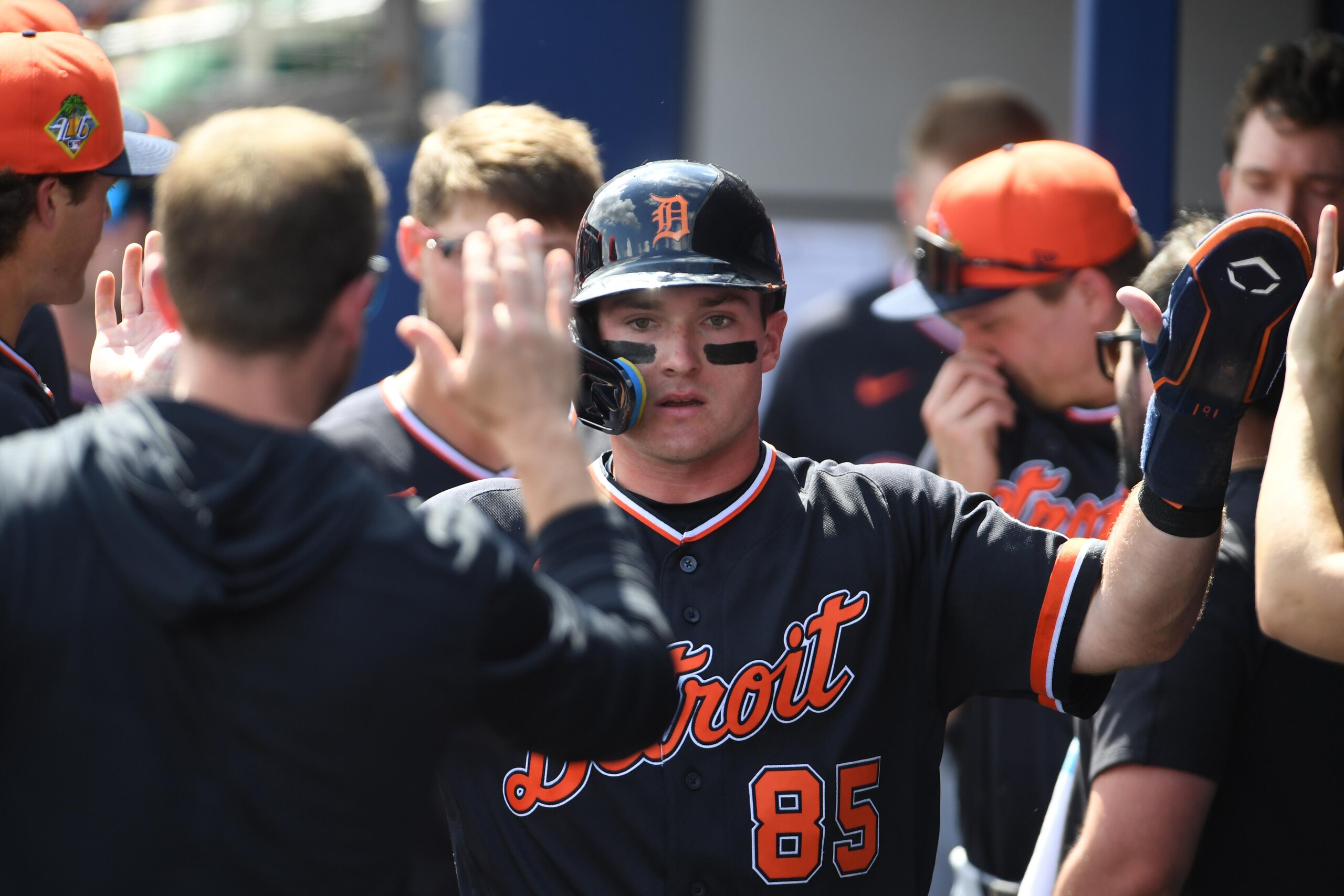 Detroit Tigers v Tampa Bay Rays