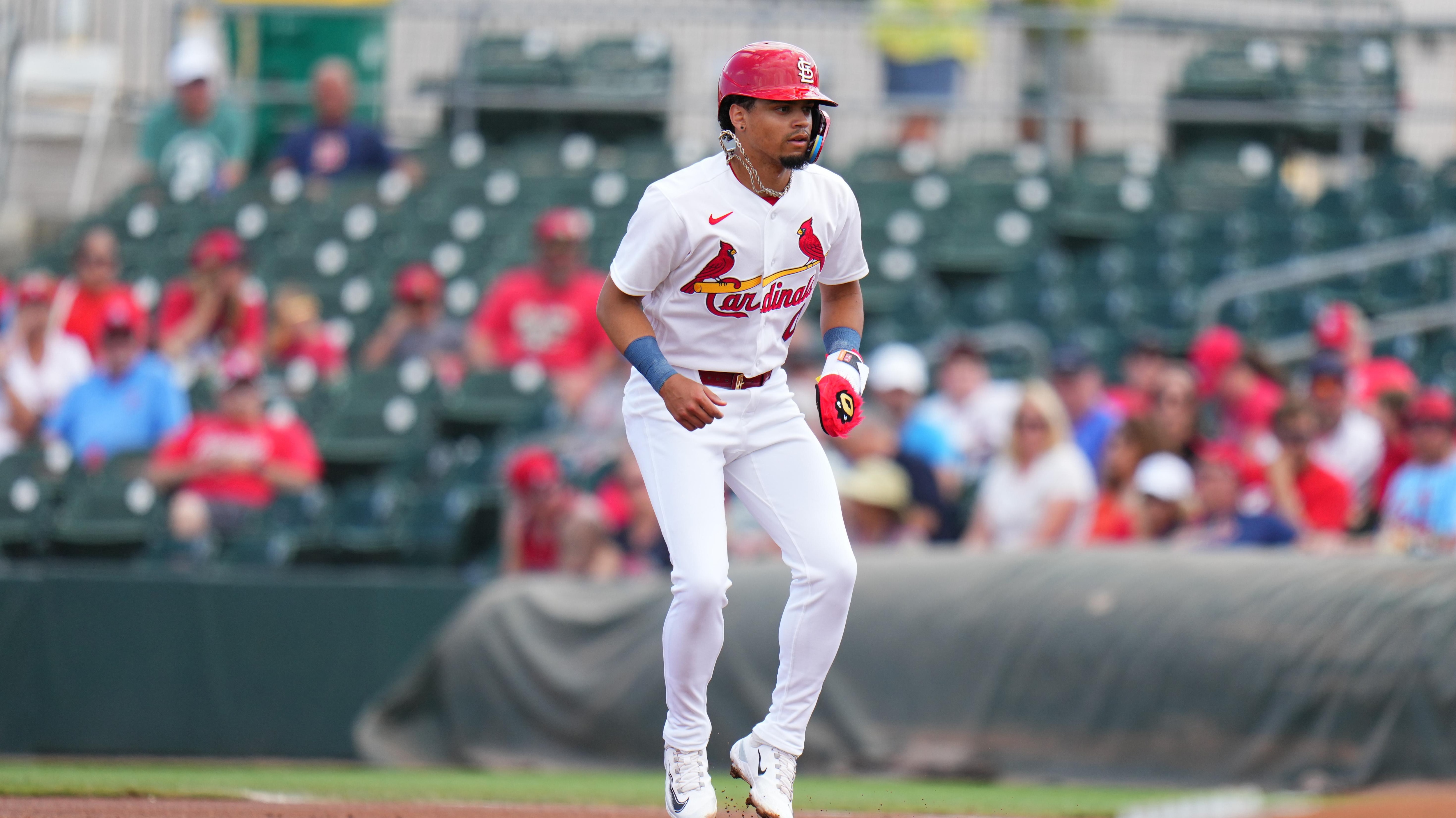 Houston Astros v St. Louis Cardinals