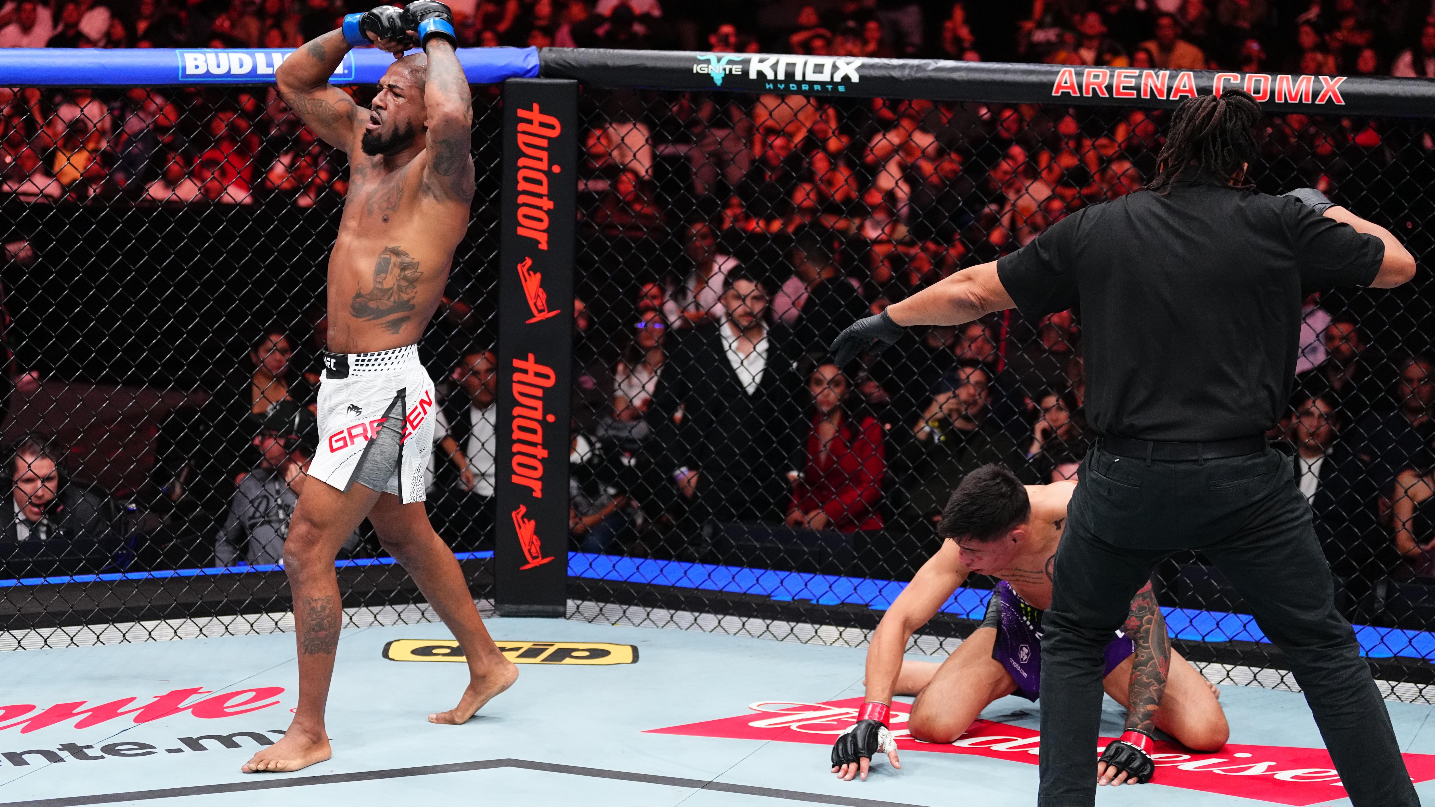 UFC Fight Night: Zellhuber v Green