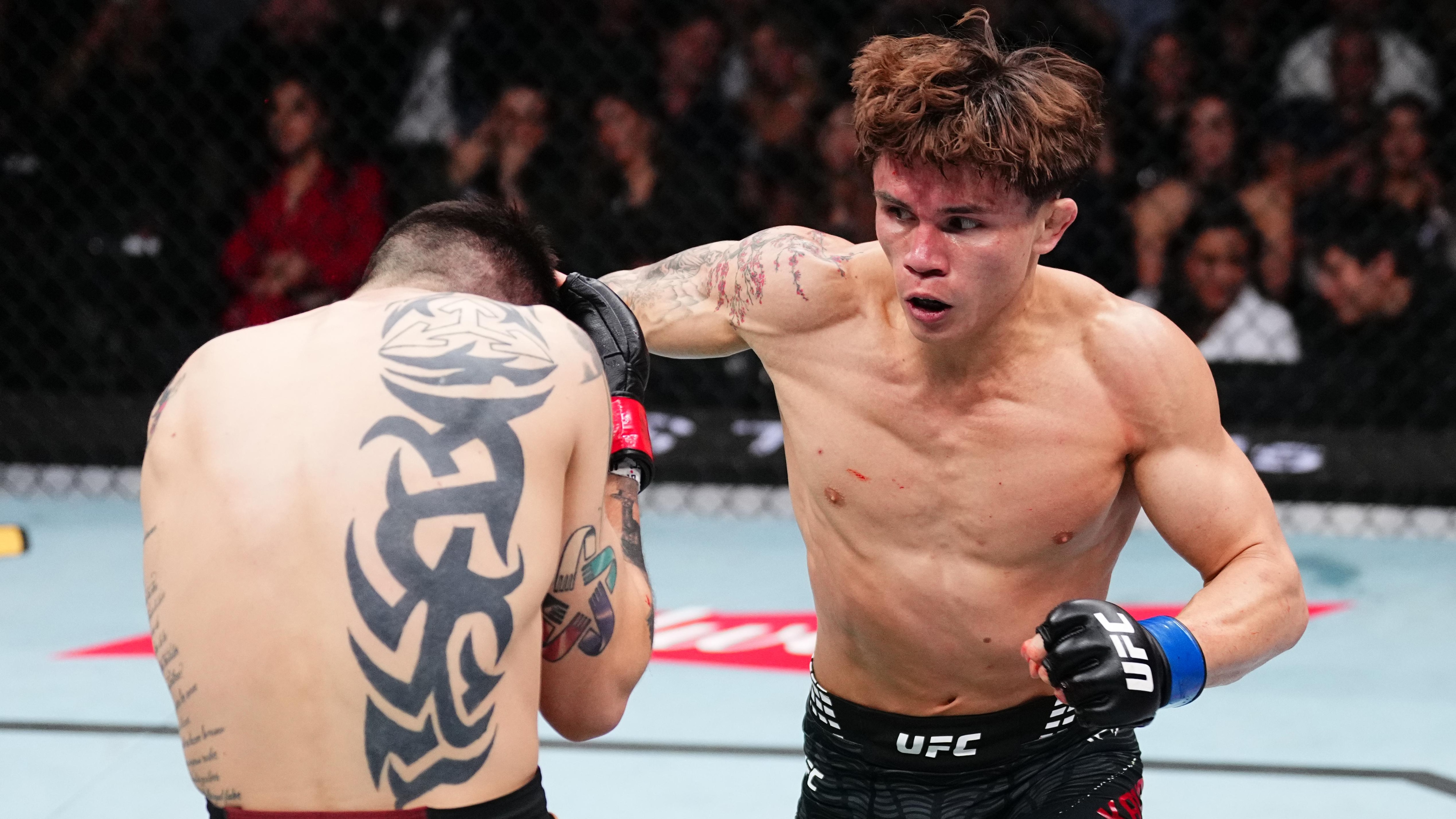UFC Fight Night: Moreno vs Kavanagh