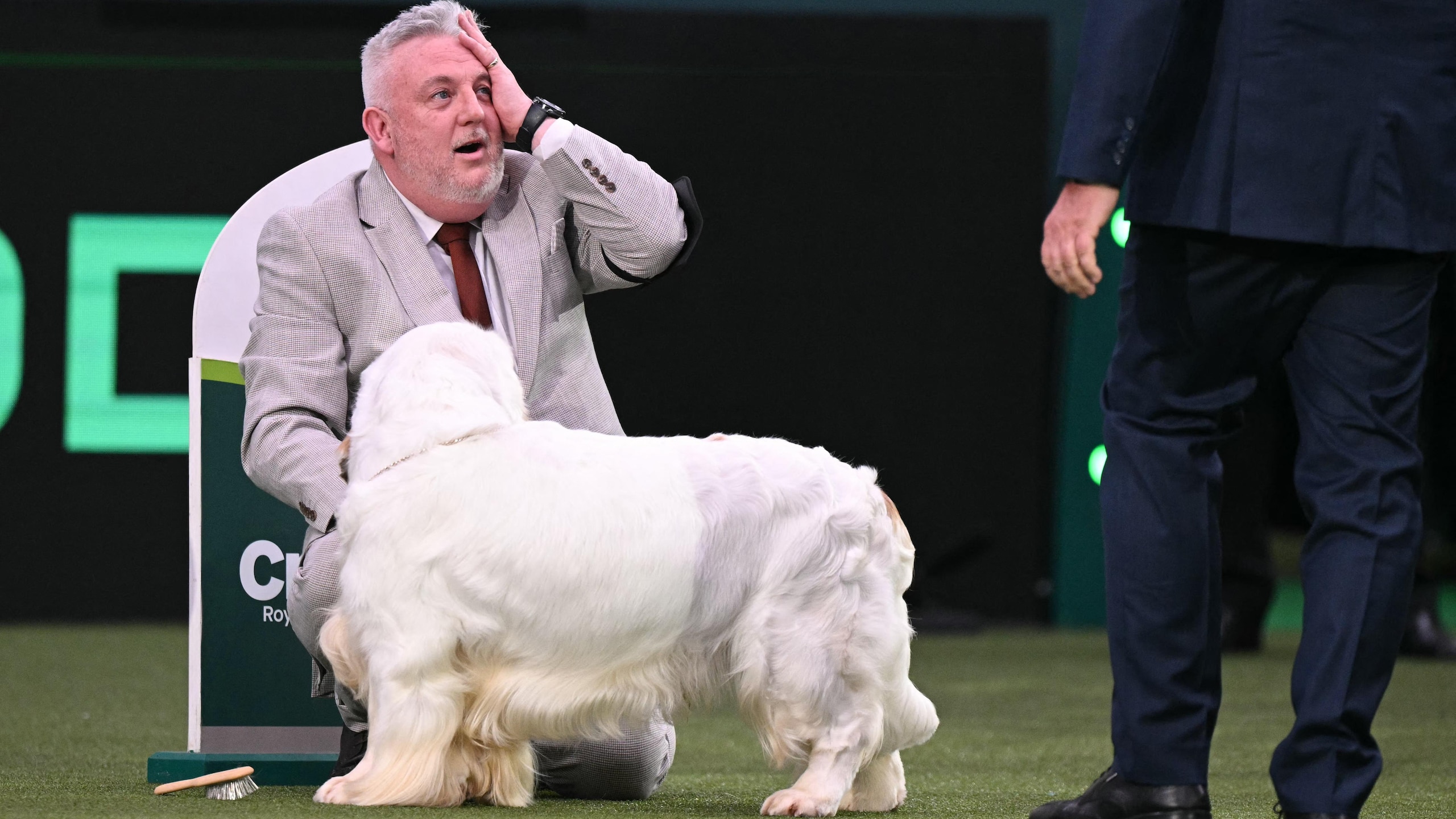 BRITAIN-LIFESTYLE-ANIMAL-DOGS-CRUFTS BRITAIN-LIFESTYLE-ANIMAL-DOGS-CRUFTS