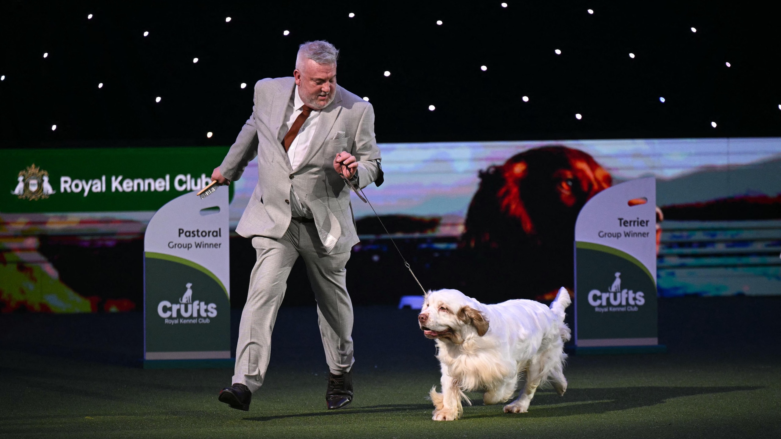 BRITAIN-LIFESTYLE-ANIMAL-DOGS-CRUFTS BRITAIN-LIFESTYLE-ANIMAL-DOGS-CRUFTS