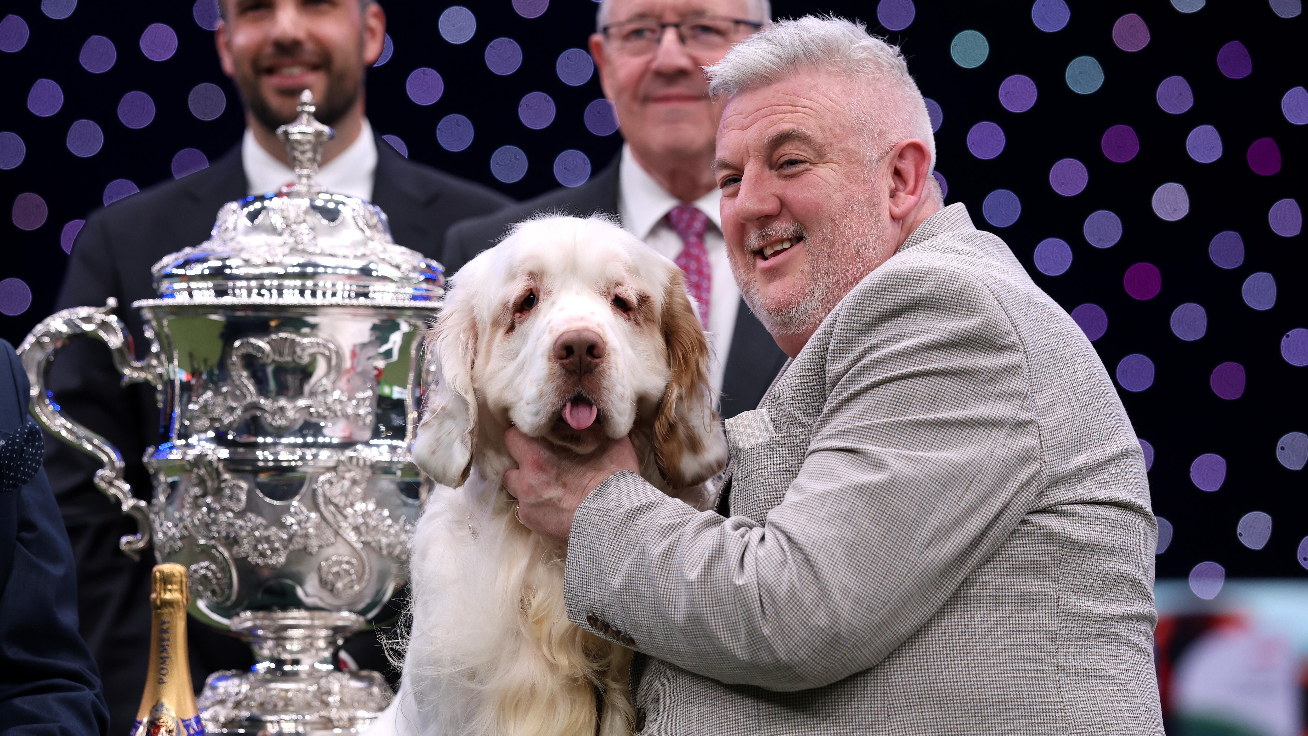 Crufts 2026 Day Four - Best In Show