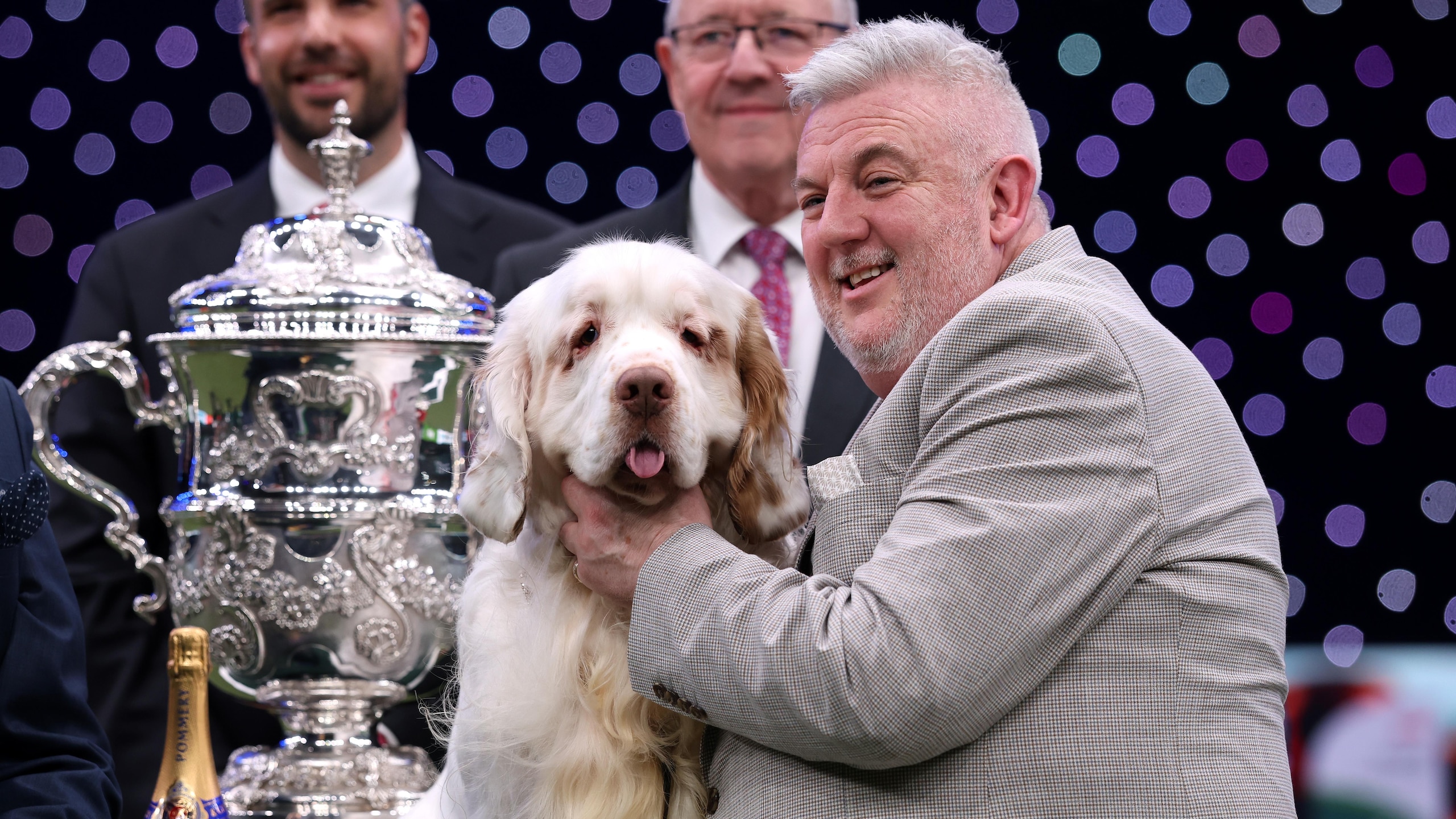 Crufts 2026 Day Four - Best In Show Crufts 2026 Day Four - Best In Show