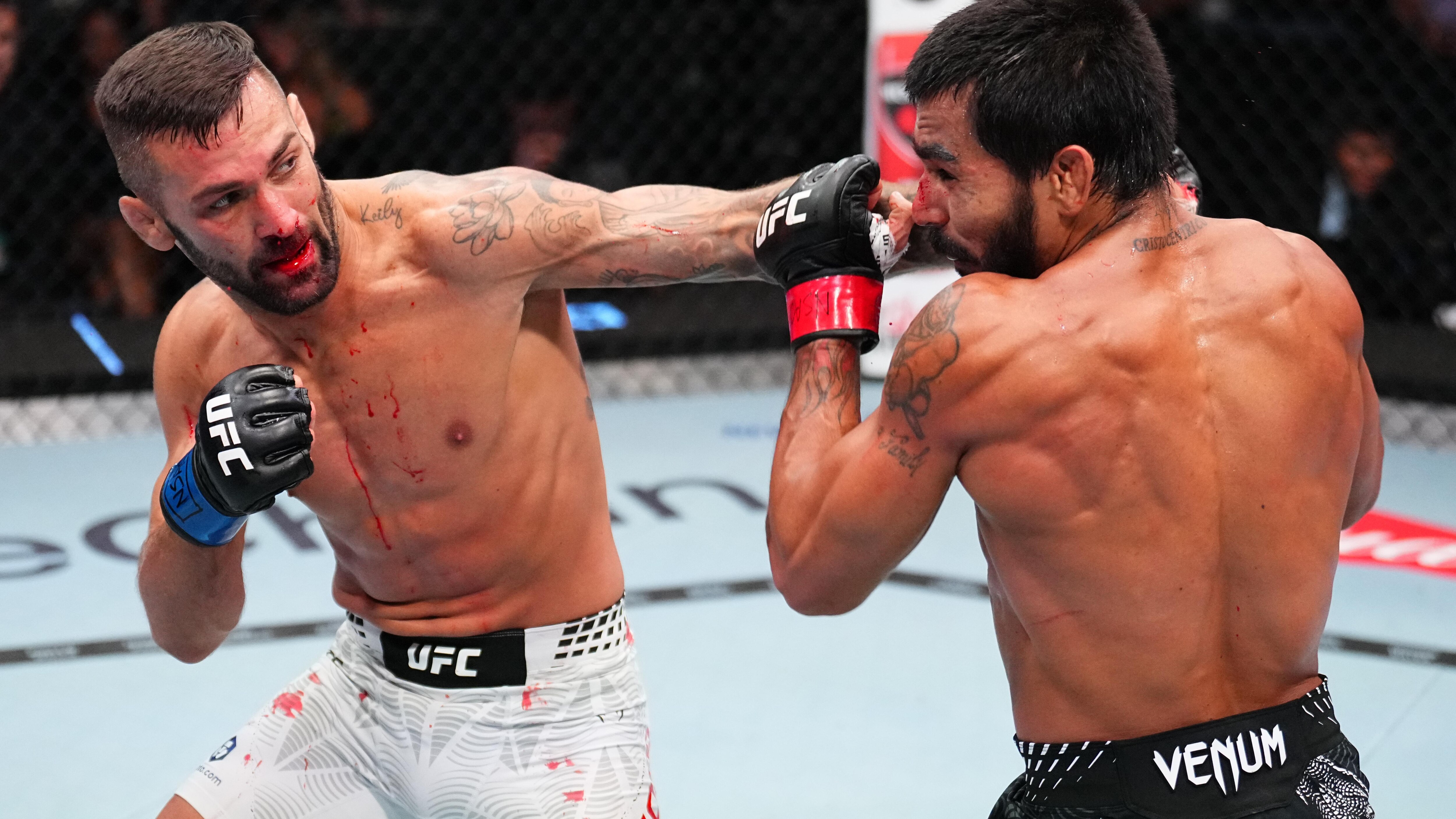 UFC Fight Night: Lacerda v Sosa