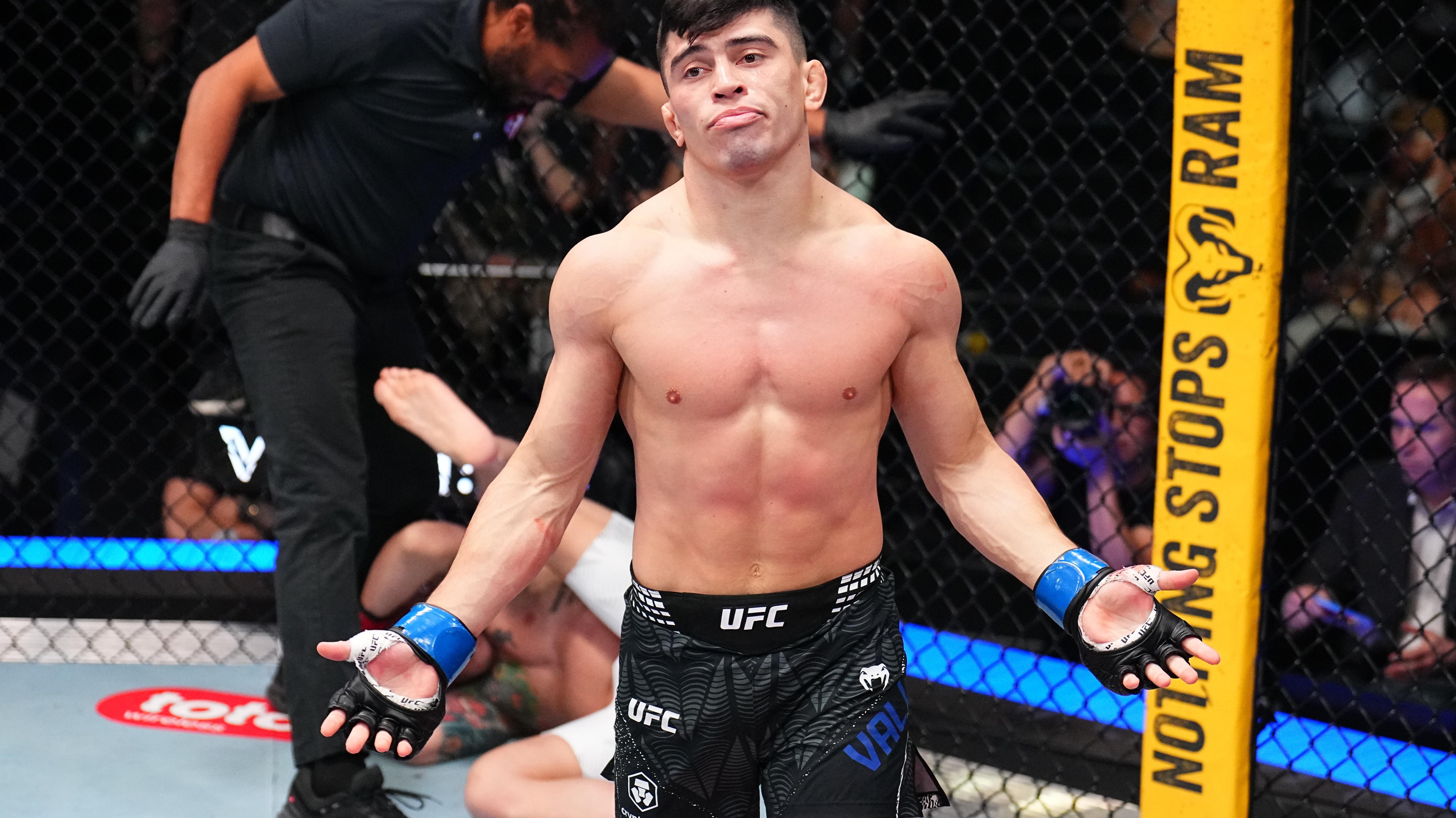 UFC Fight Night: Emmett v Vallejos