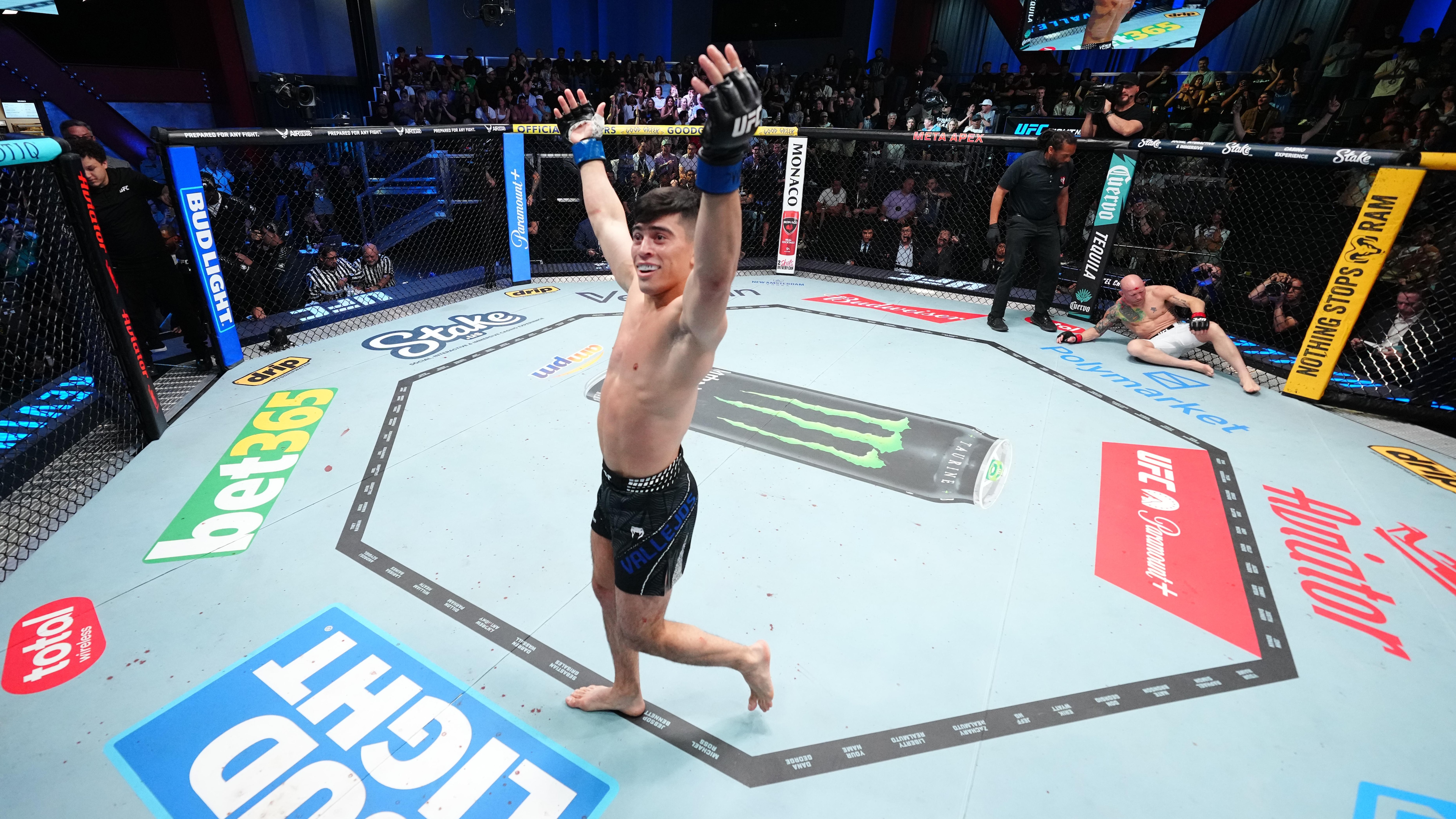UFC Fight Night: Emmett v Vallejos