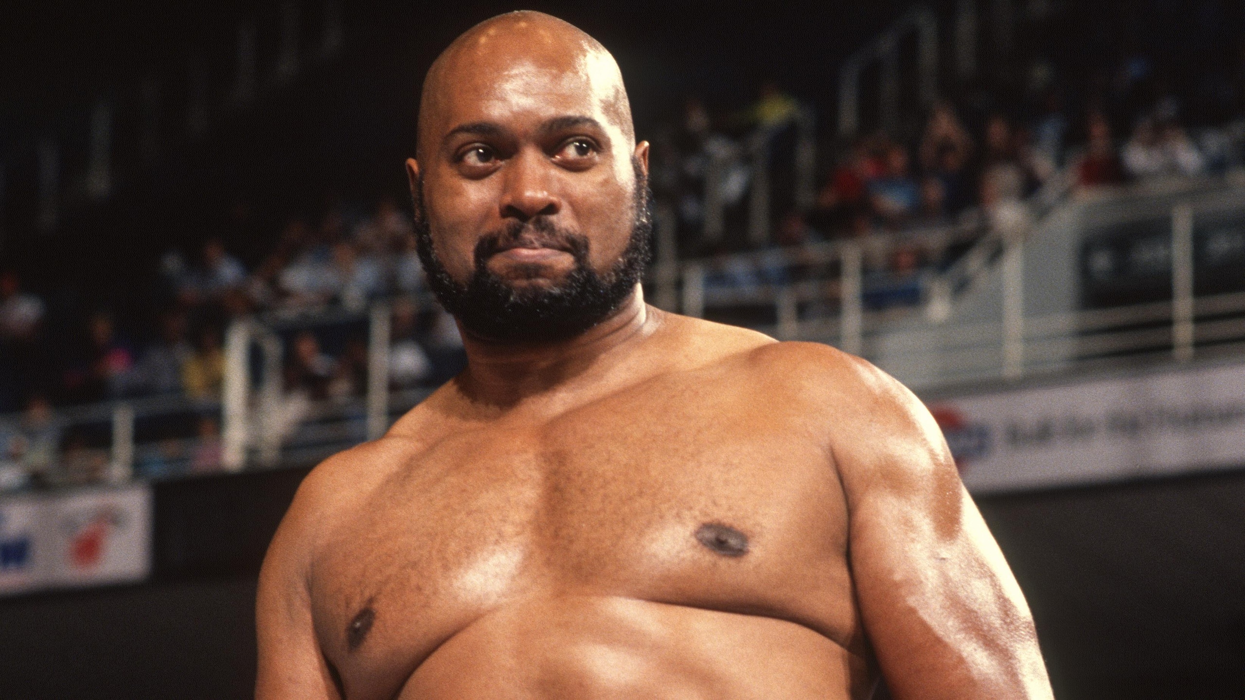 WWE Archive