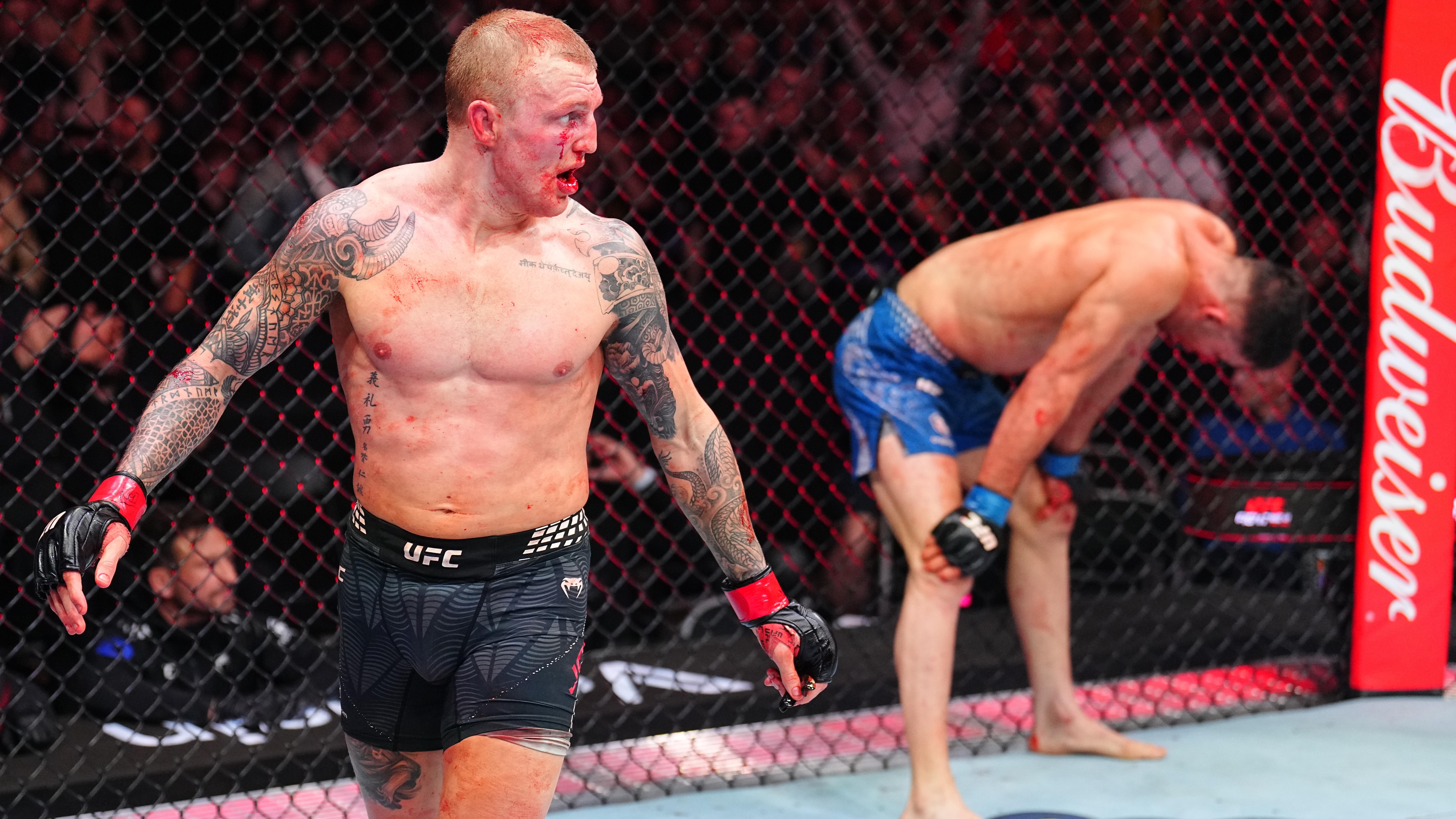 UFC Fight Night: Jones v Sola