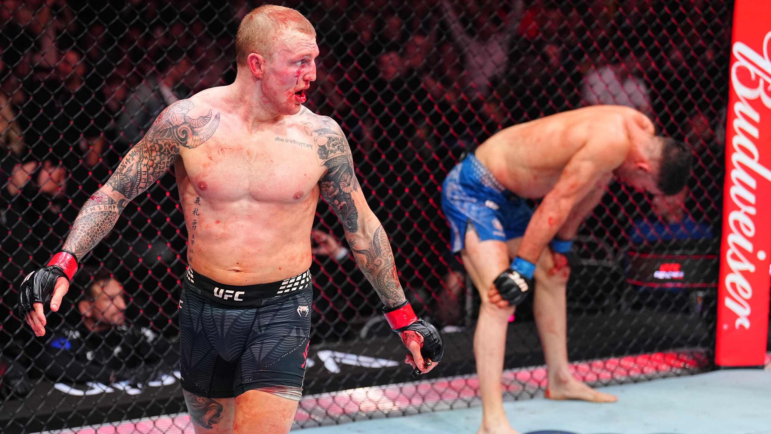 UFC Fight Night: Jones v Sola