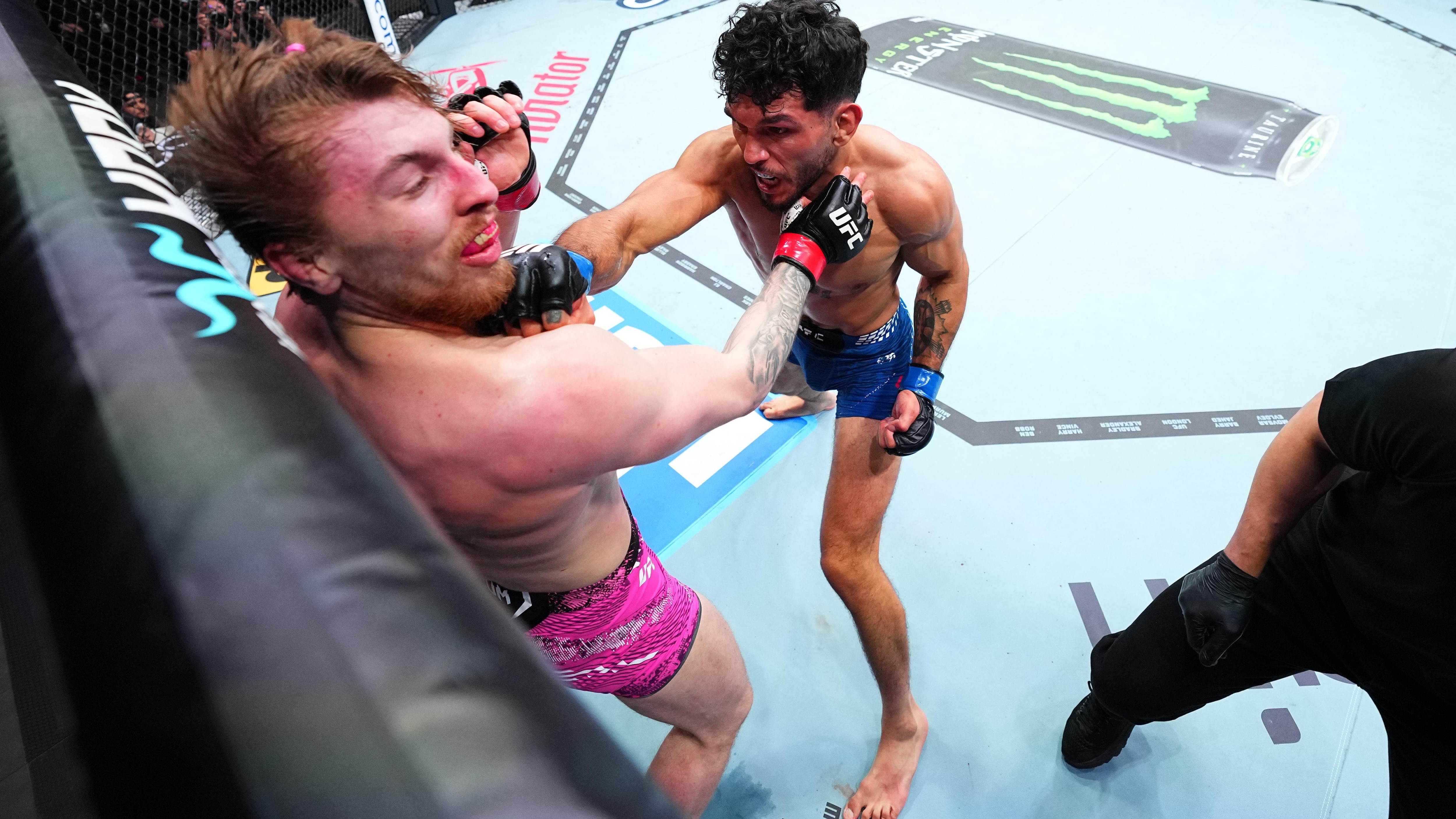 UFC Fight Night: Campbell v Silva