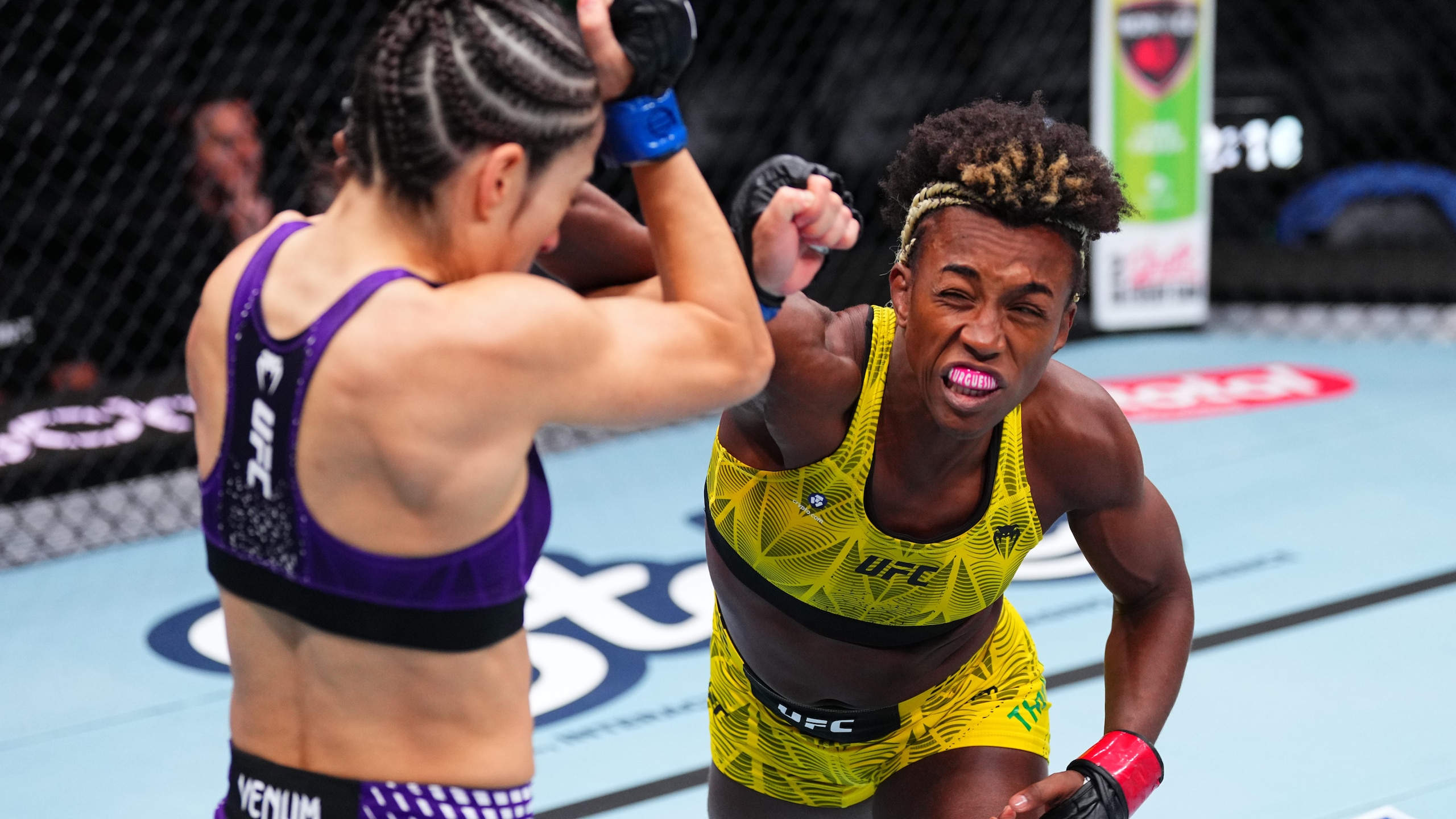 UFC Fight Night: Thainara v Brasil