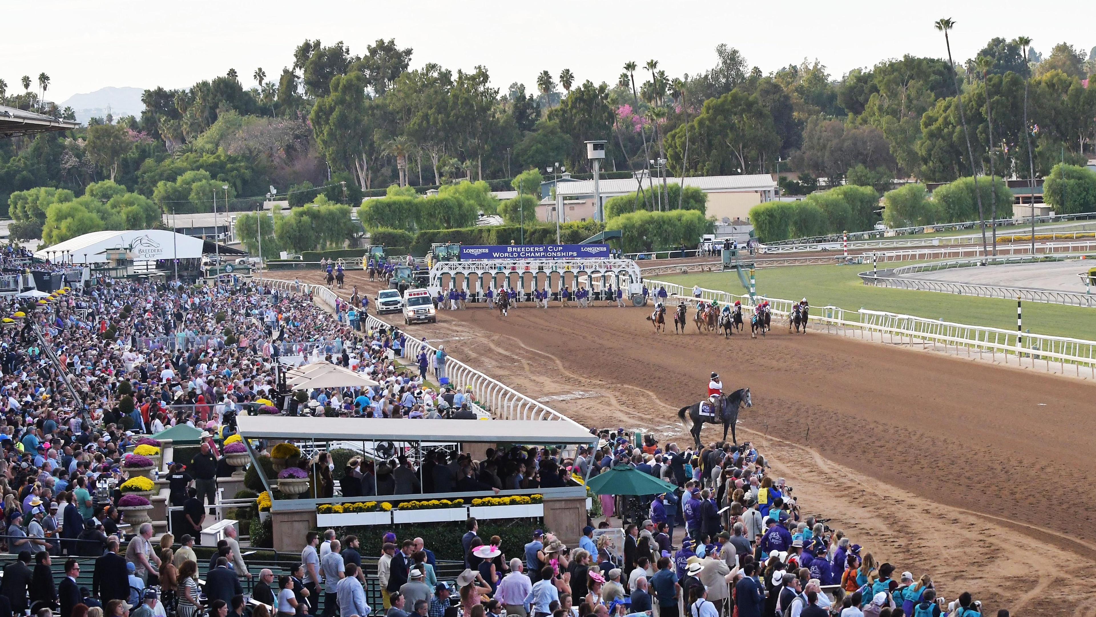 HORSE RACING: NOV 02 Breeders' Cup HORSE RACING: NOV 02 Breeders' Cup