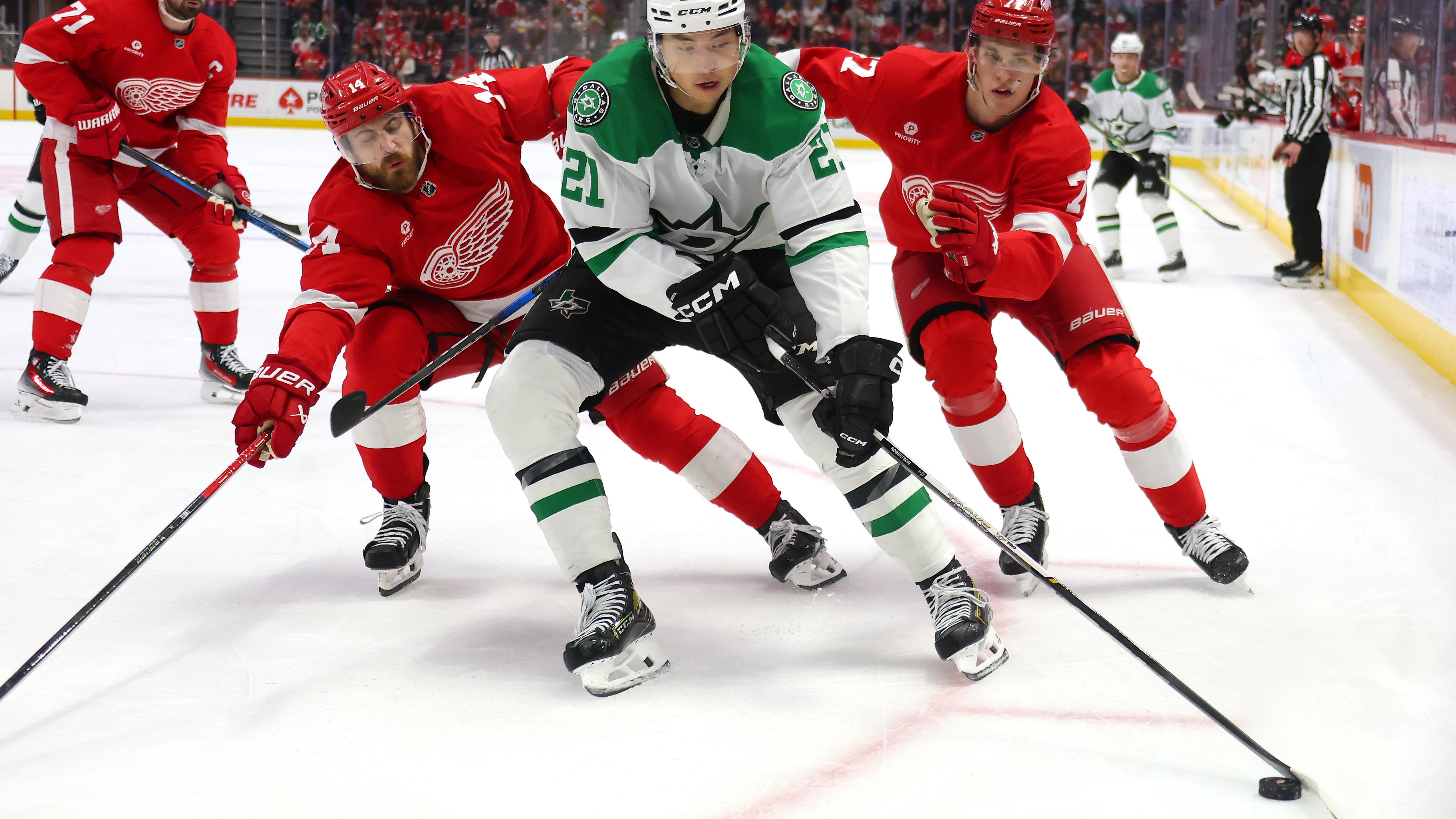 Dallas Stars v Detroit Red Wings