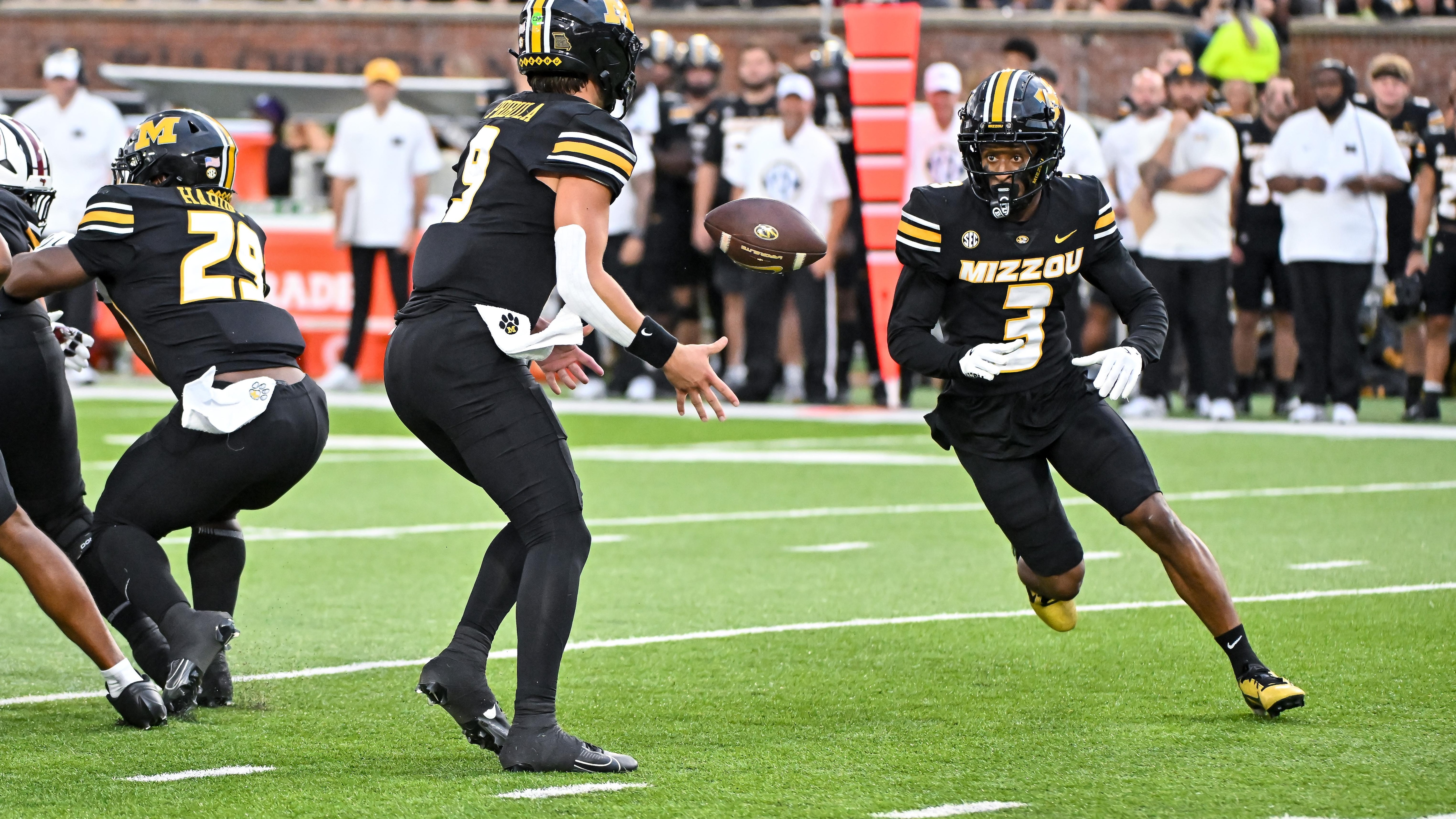 COLLEGE FOOTBALL: SEP 20 South Carolina at Missouri