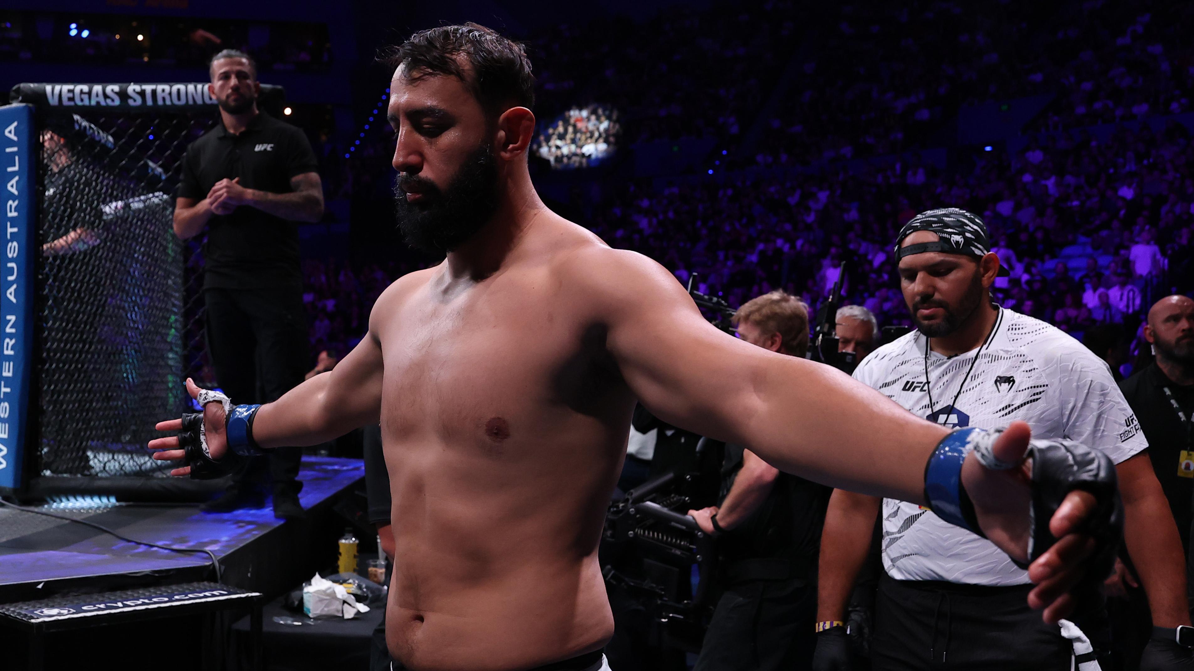 UFC Fight Night: Ulberg vs Reyes