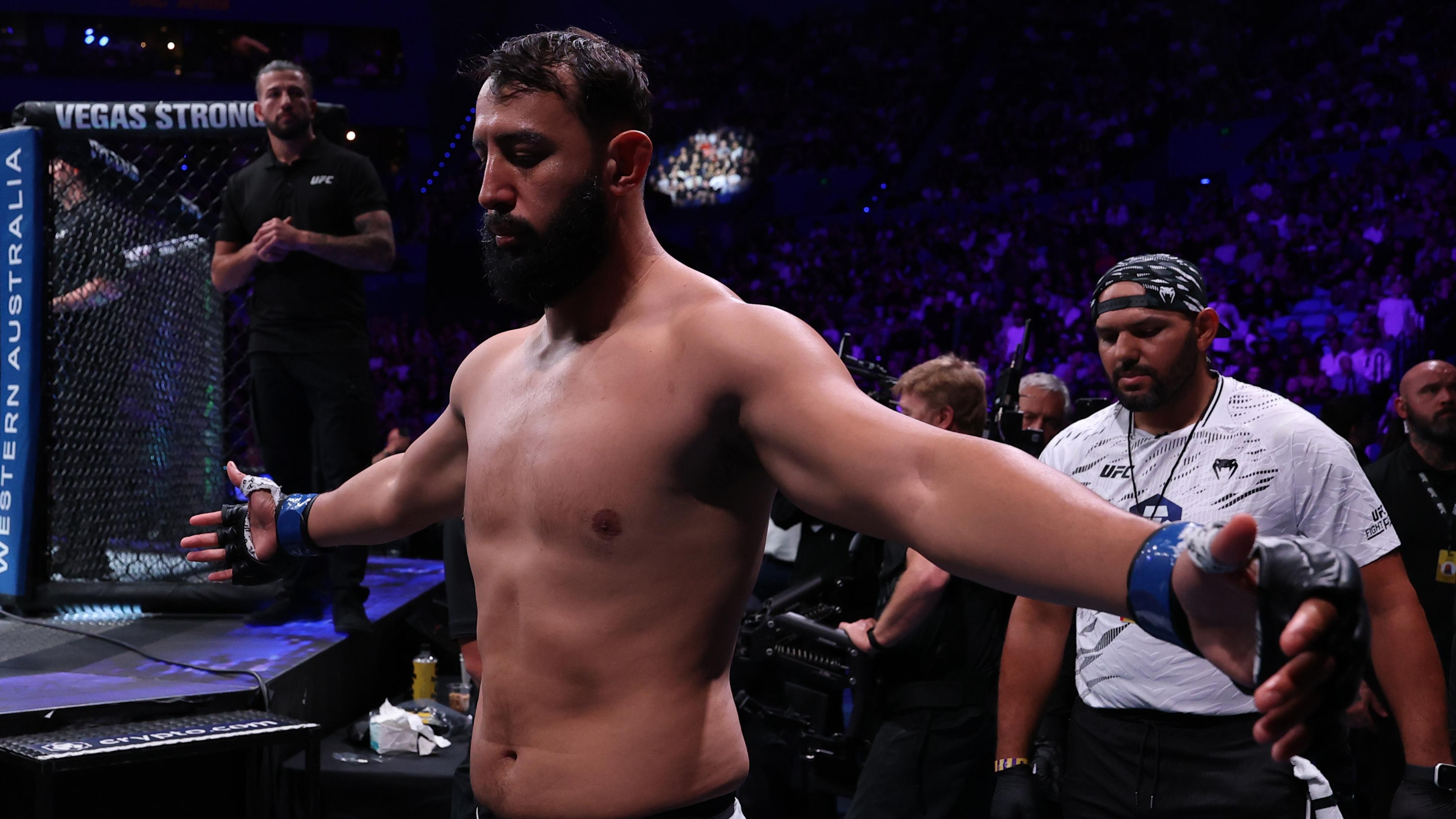 UFC Fight Night: Ulberg vs Reyes