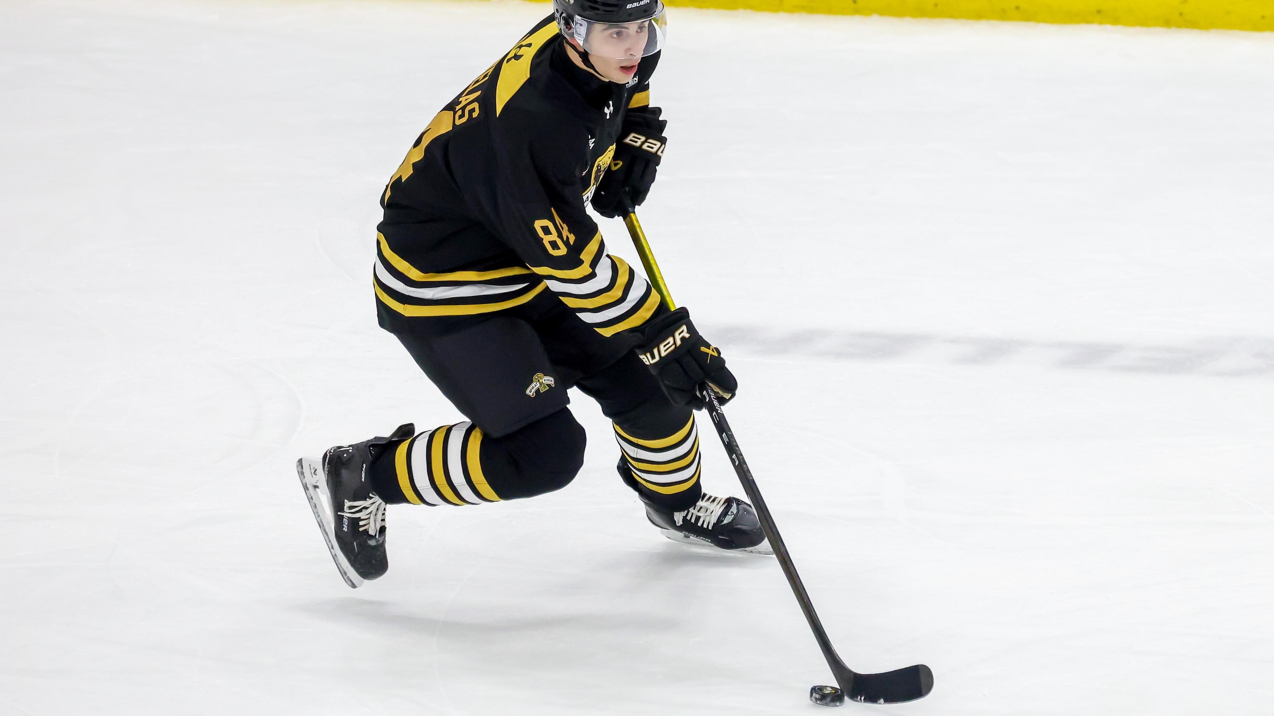 Medicine Hat Tigers v Brandon Wheat Kings