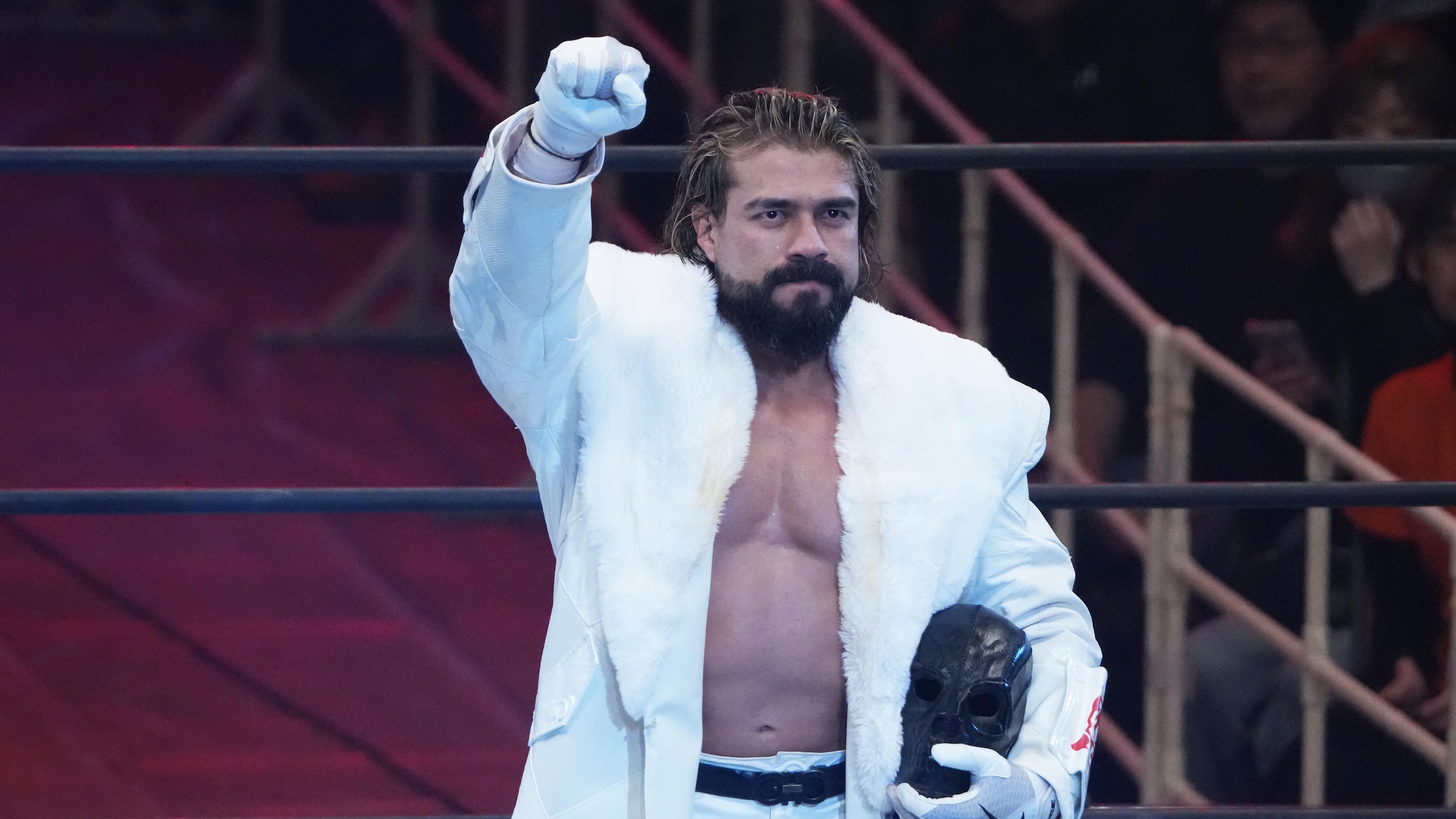 New Japan Pro-Wrestling New Japan Pro-Wrestling