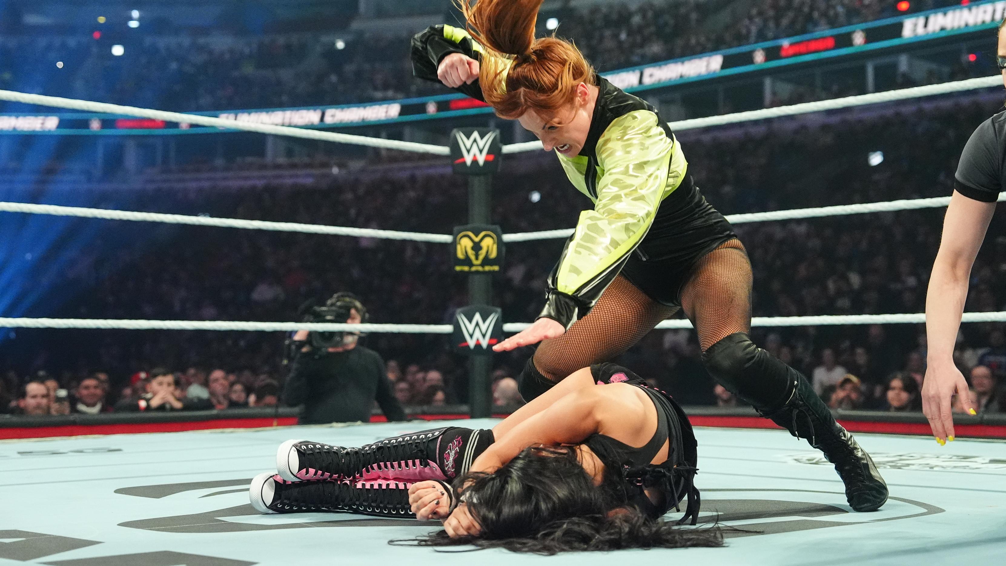WWE Elimination Chamber