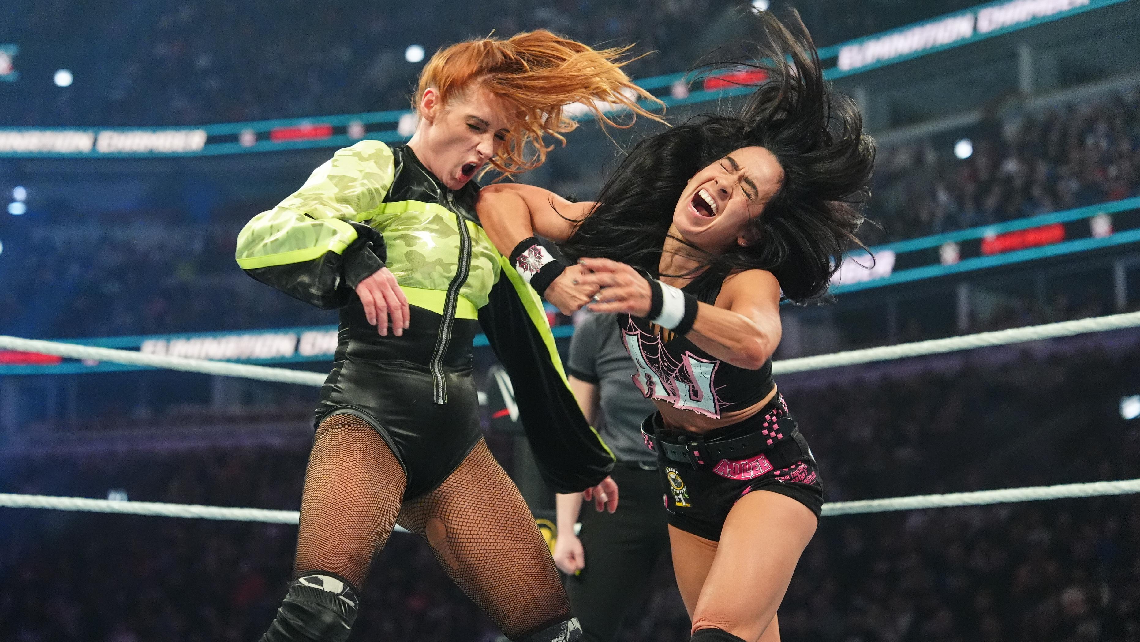 WWE Elimination Chamber