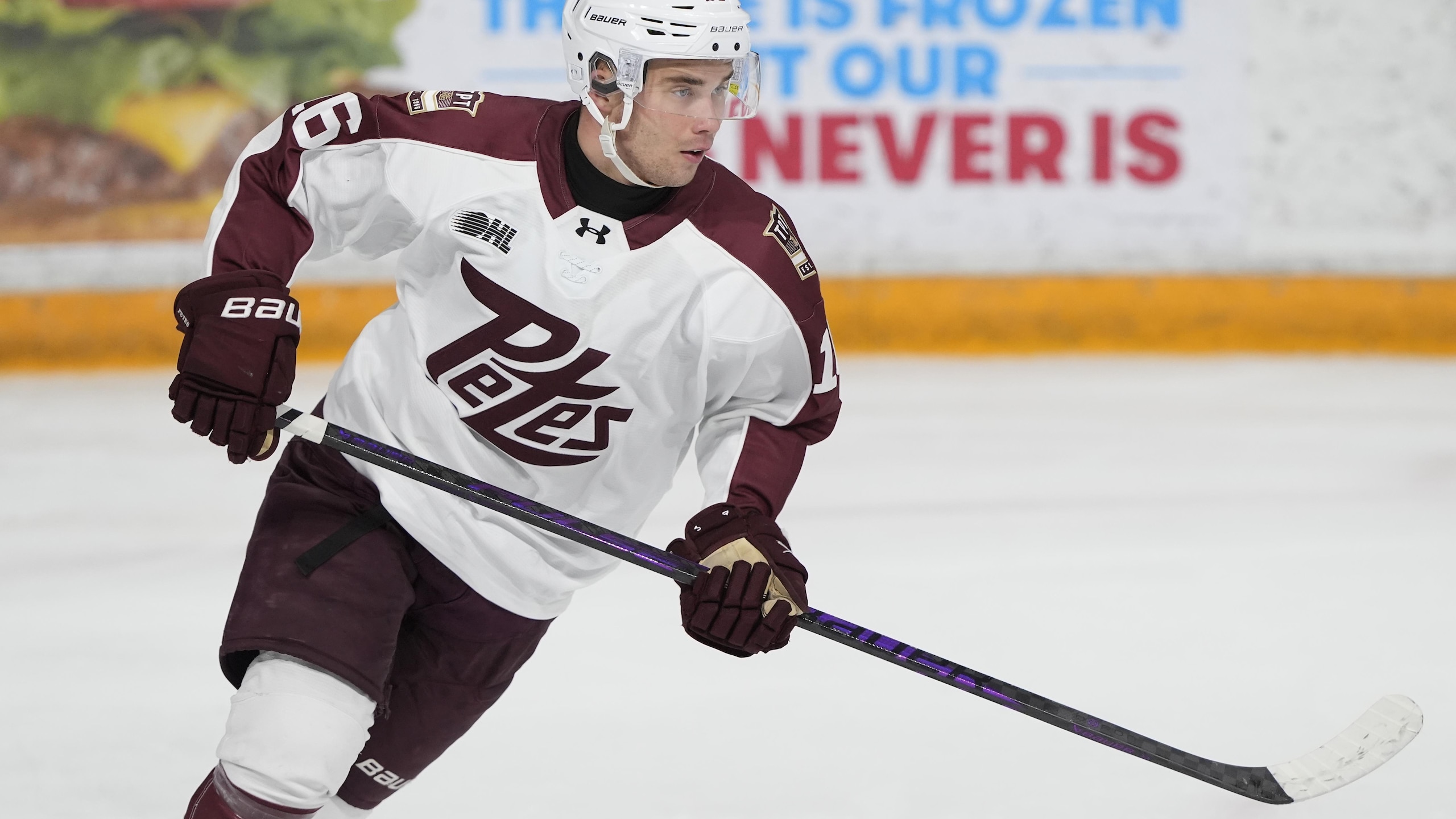Peterborough Petes v Niagara IceDogs