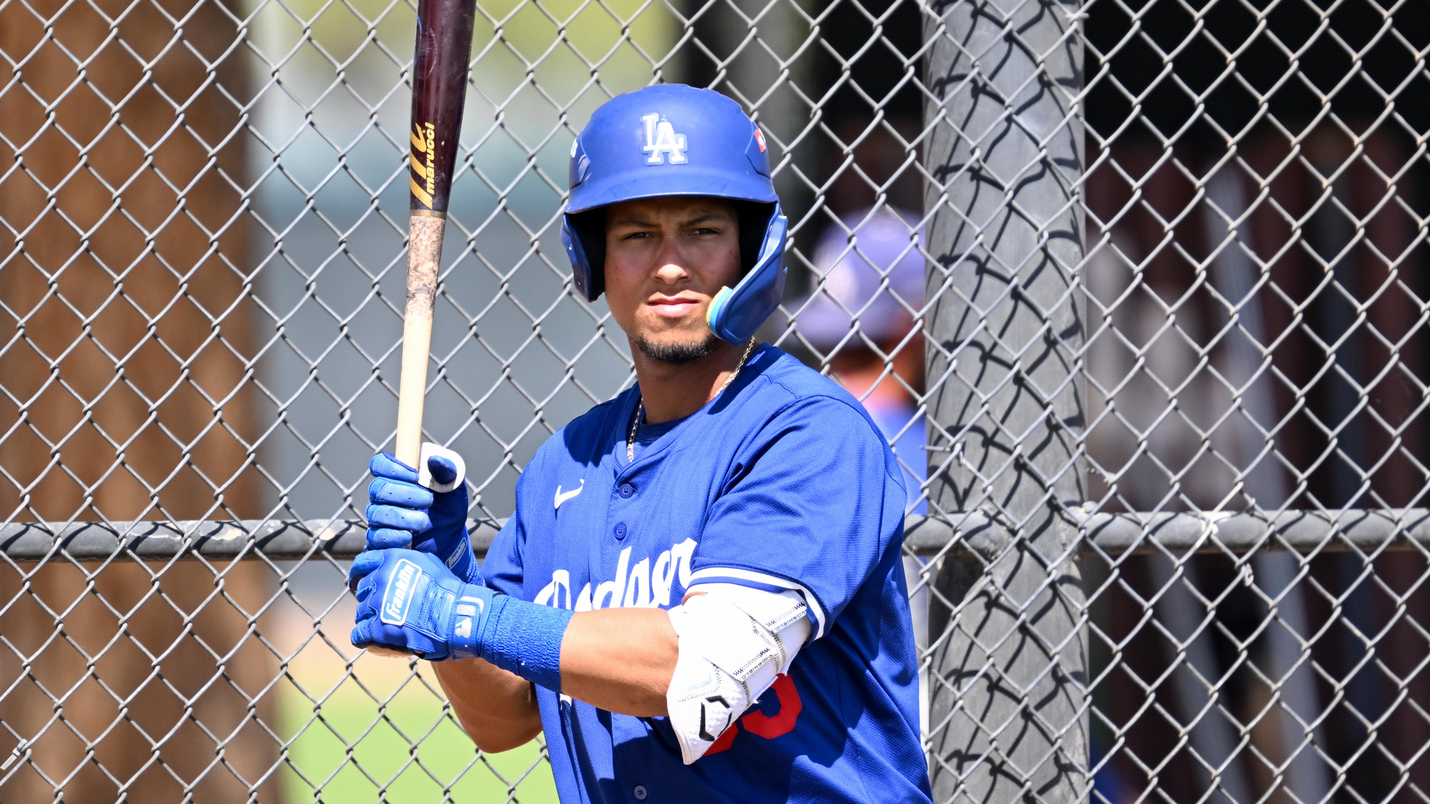 Chicago White Sox v Los Angeles Dodgers minor leaguers