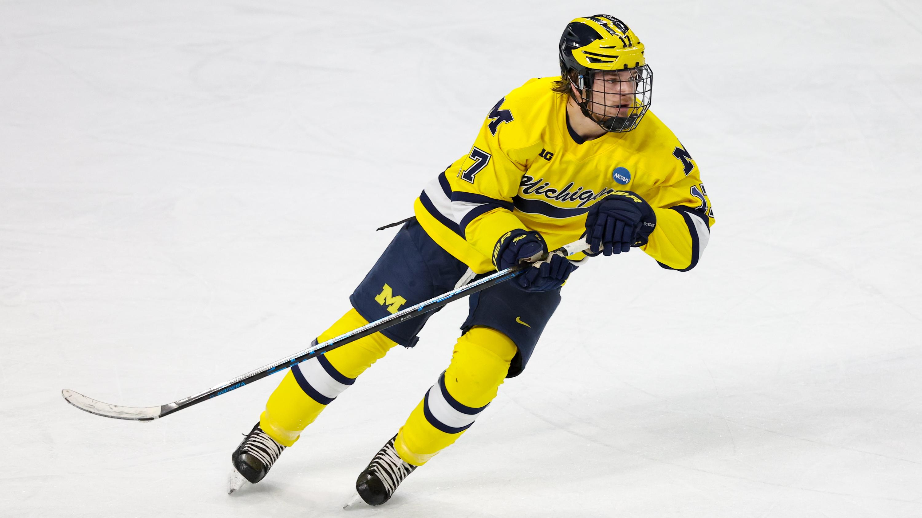 2026 NCAA Division | Men's Ice Hockey Championship - Albany Regional