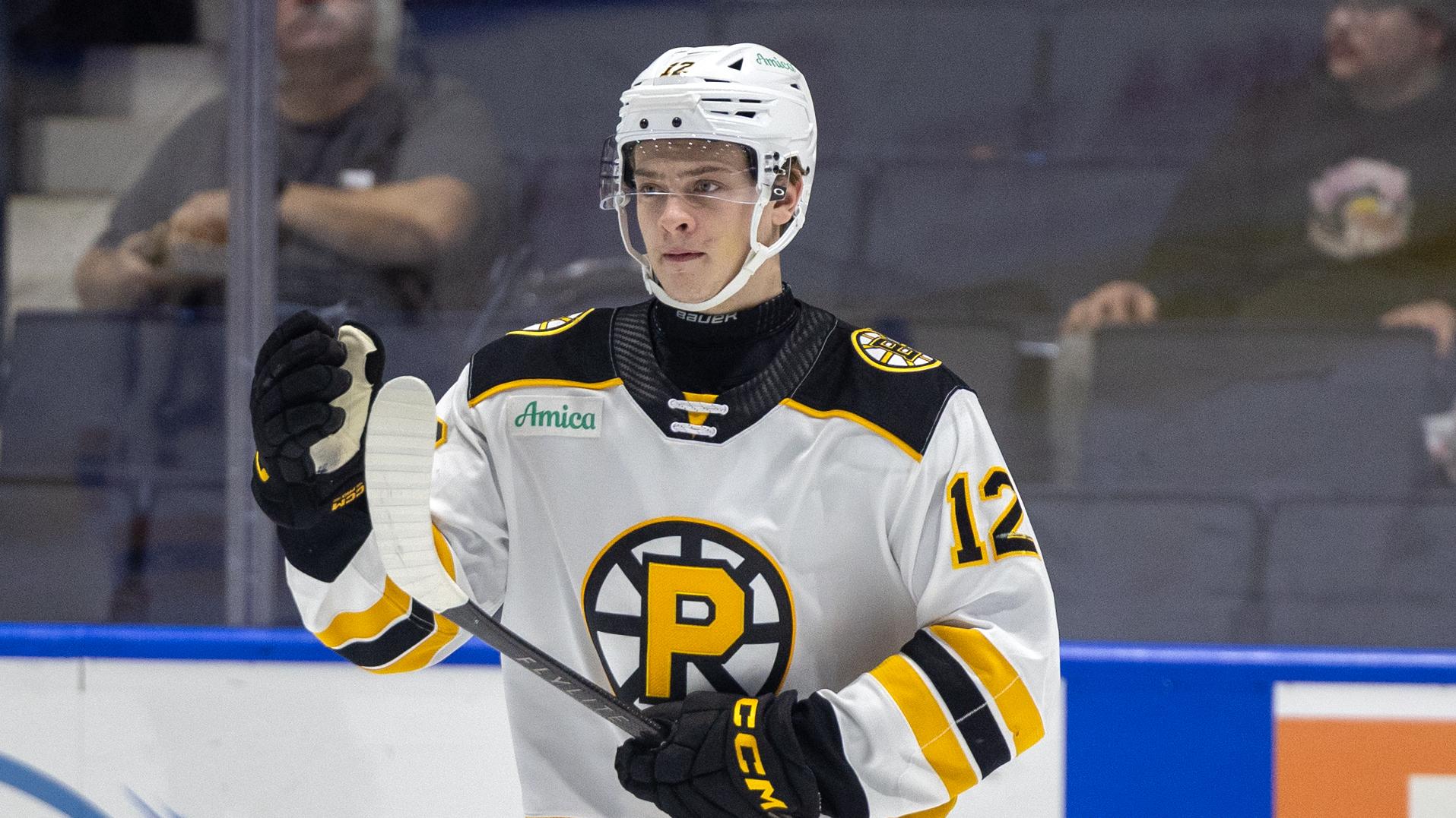 AHL: APR 04 Providence Bruins at Rochester Americans