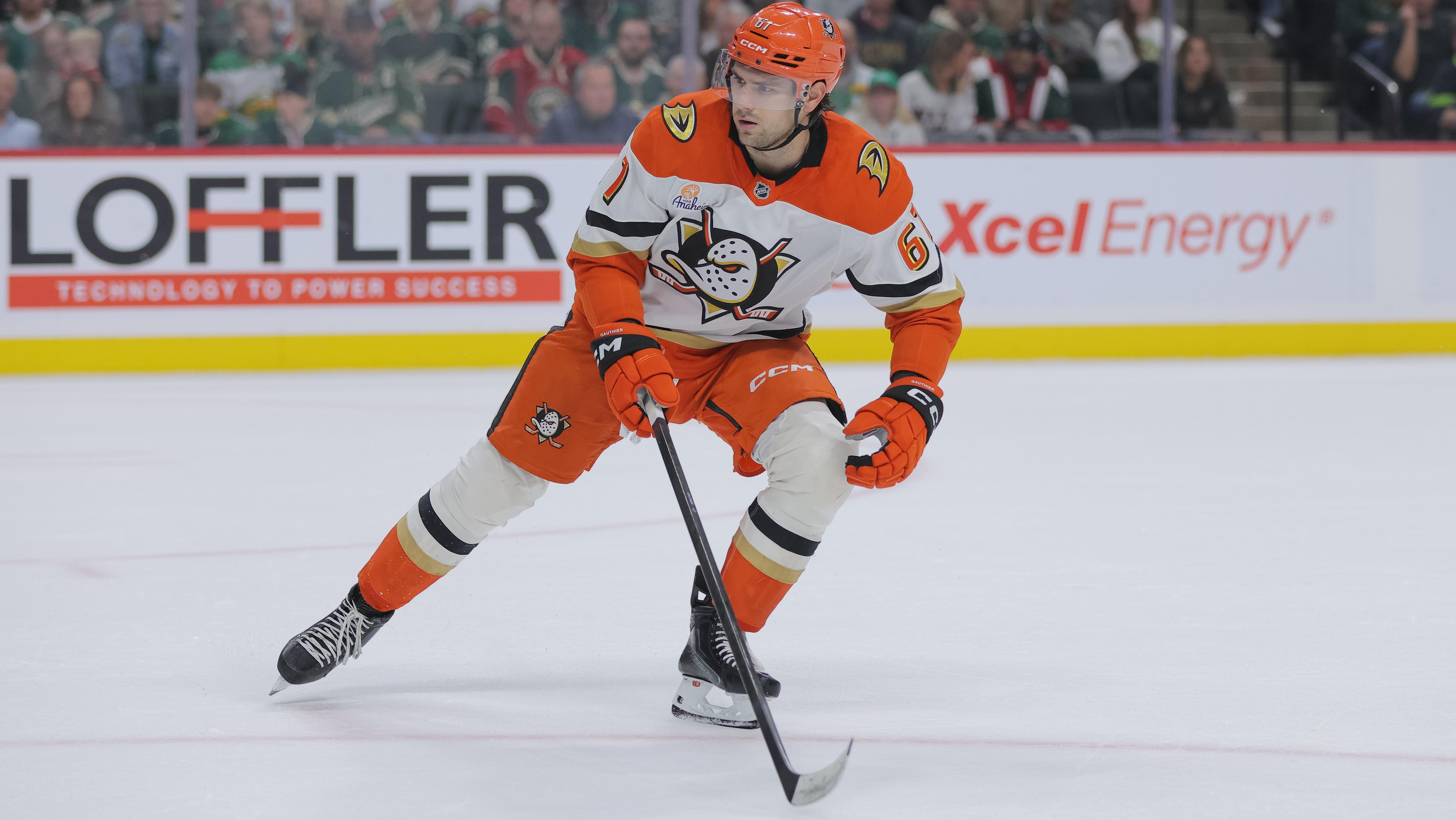 NHL: APR 14 Ducks at Wild