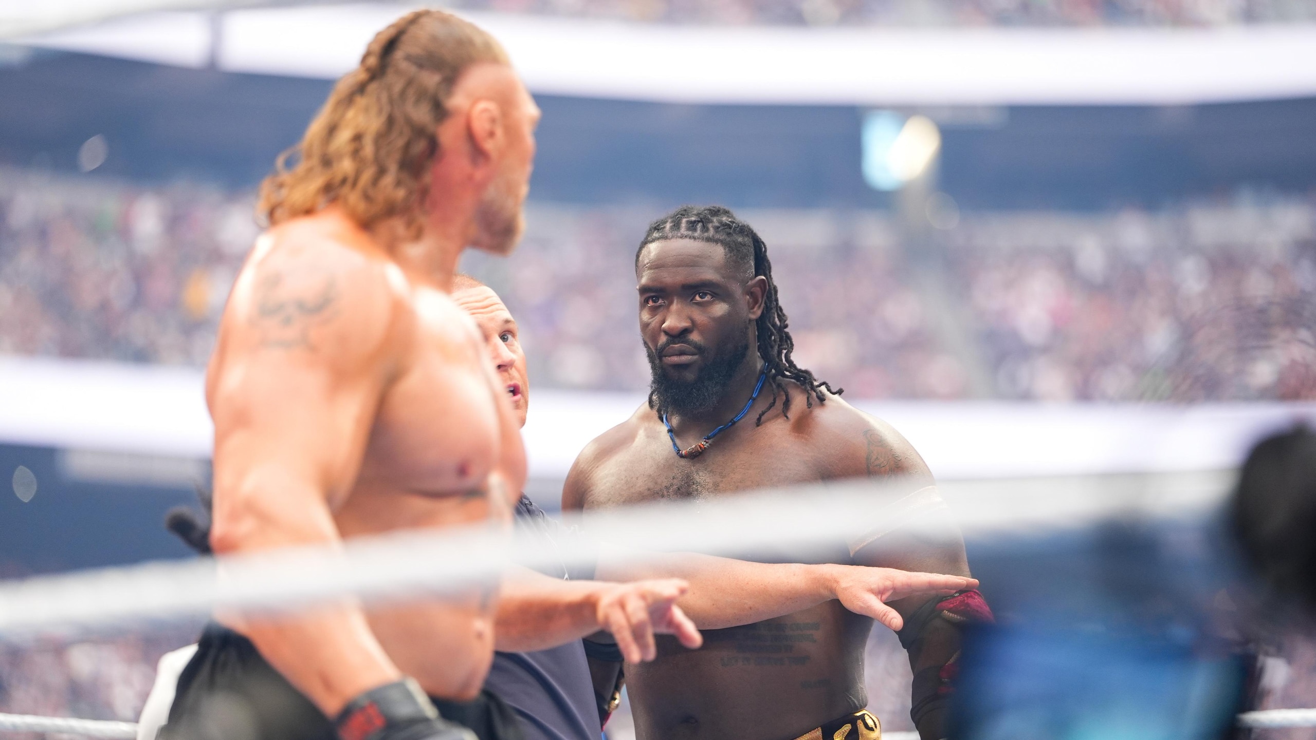 WrestleMania 42