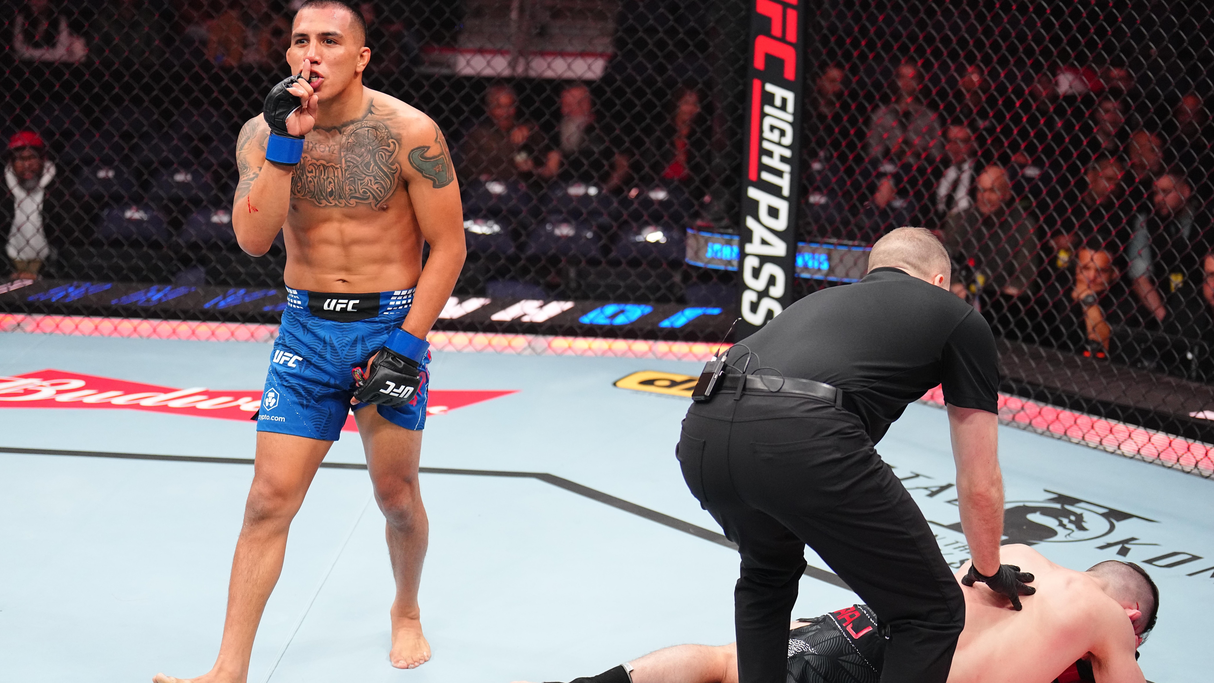 UFC Fight Night: Siraj v Yannis