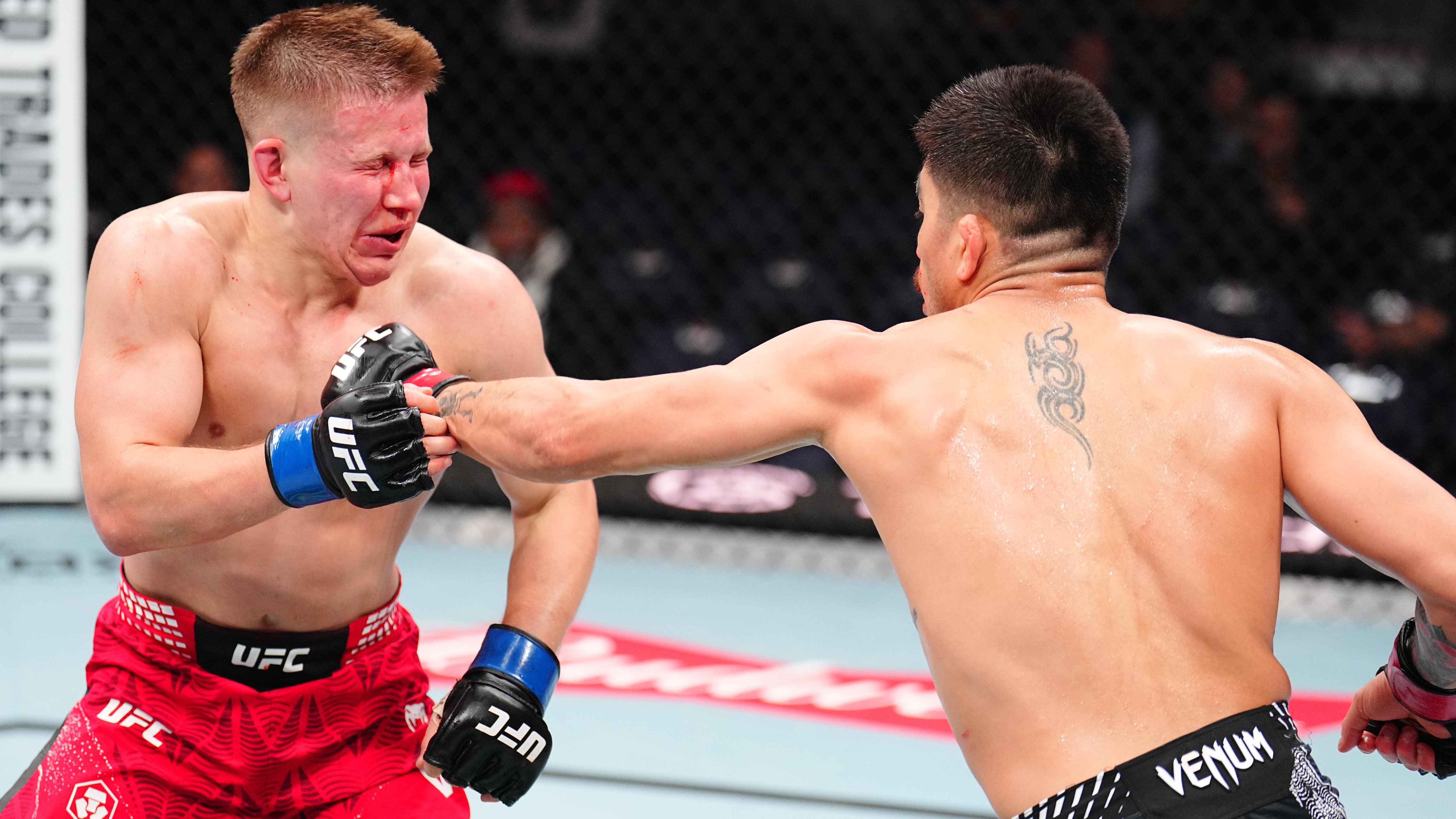 UFC Fight Night: Castaneda v Vologdin