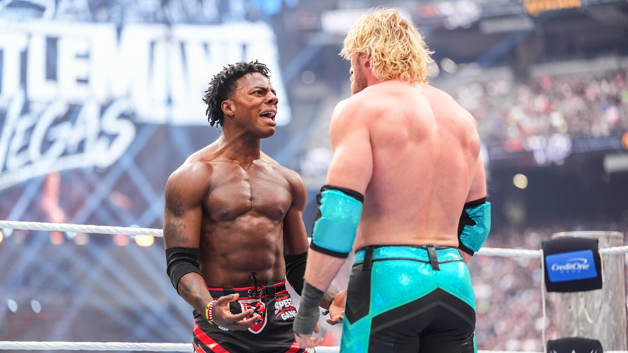 WrestleMania 42