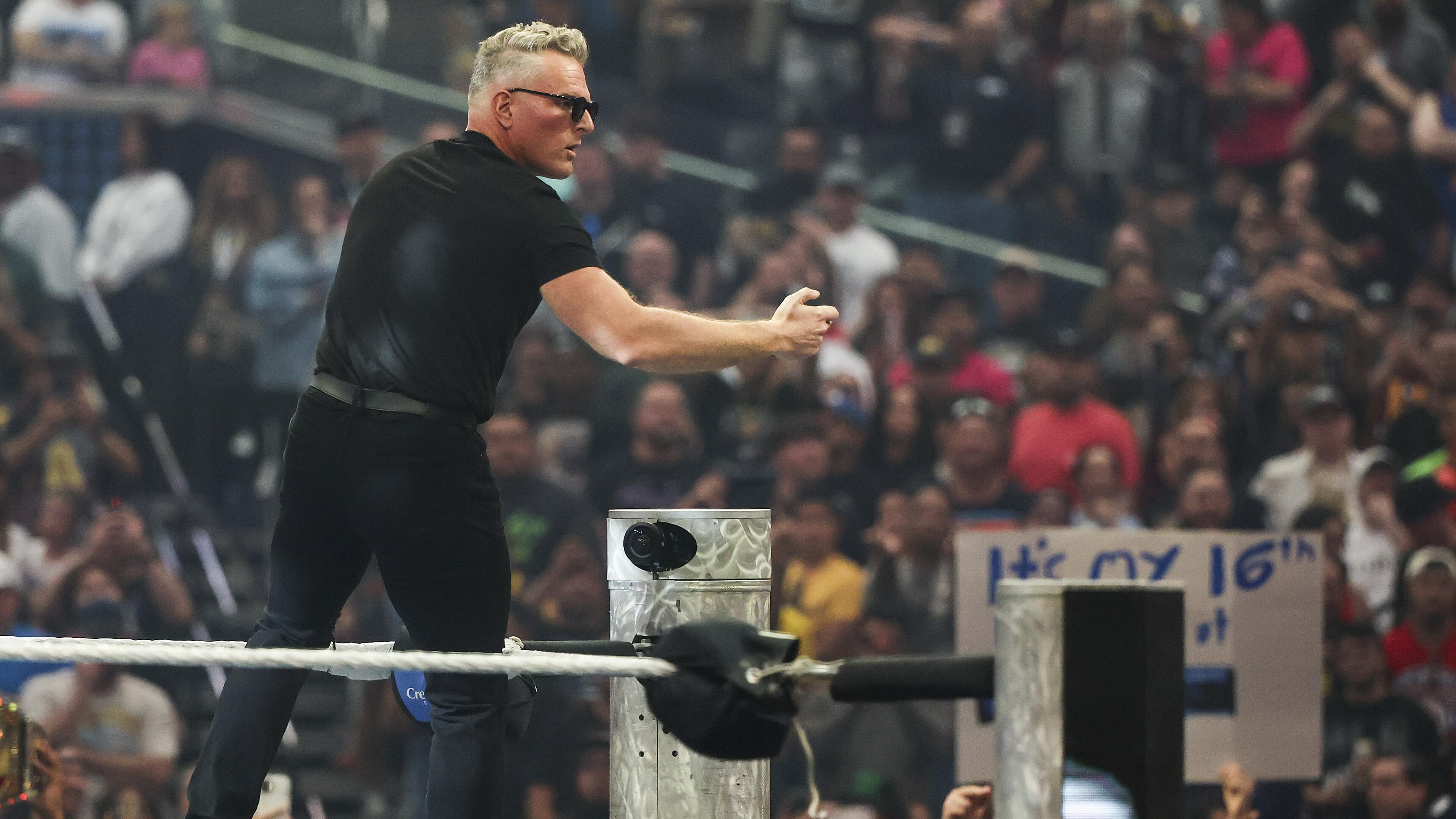 WrestleMania 42
