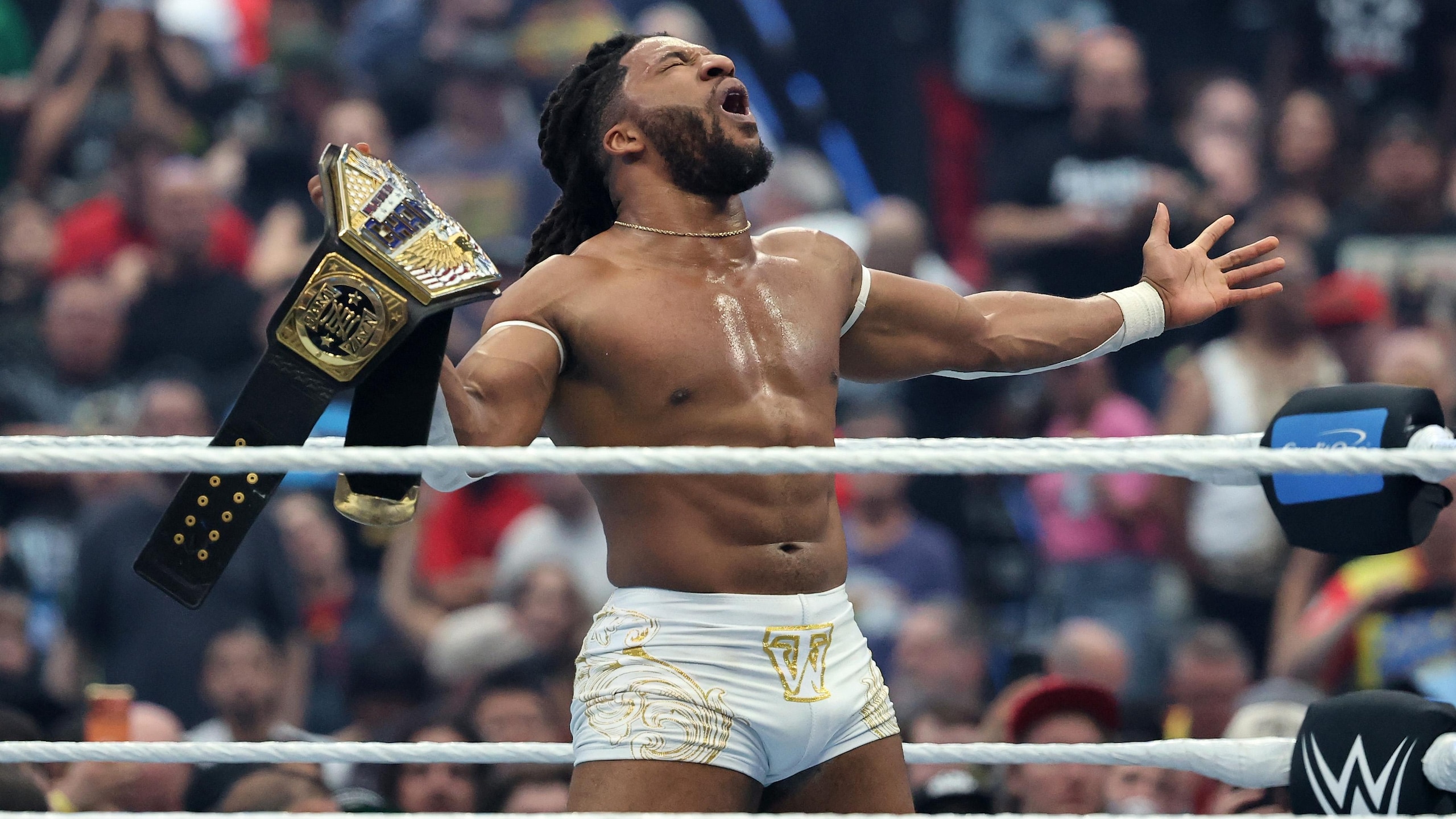 WrestleMania 42