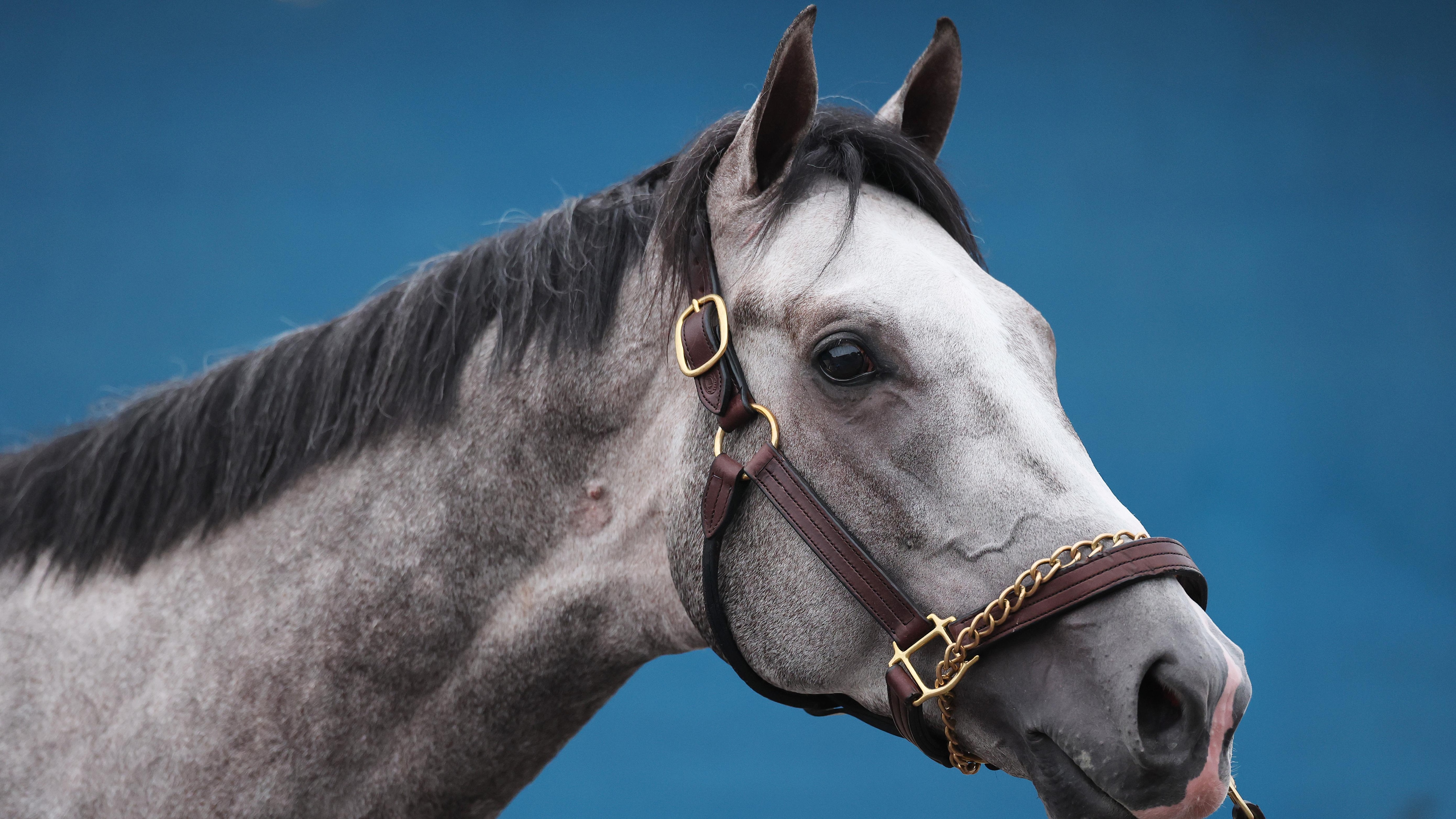 152nd Kentucky Derby - Previews