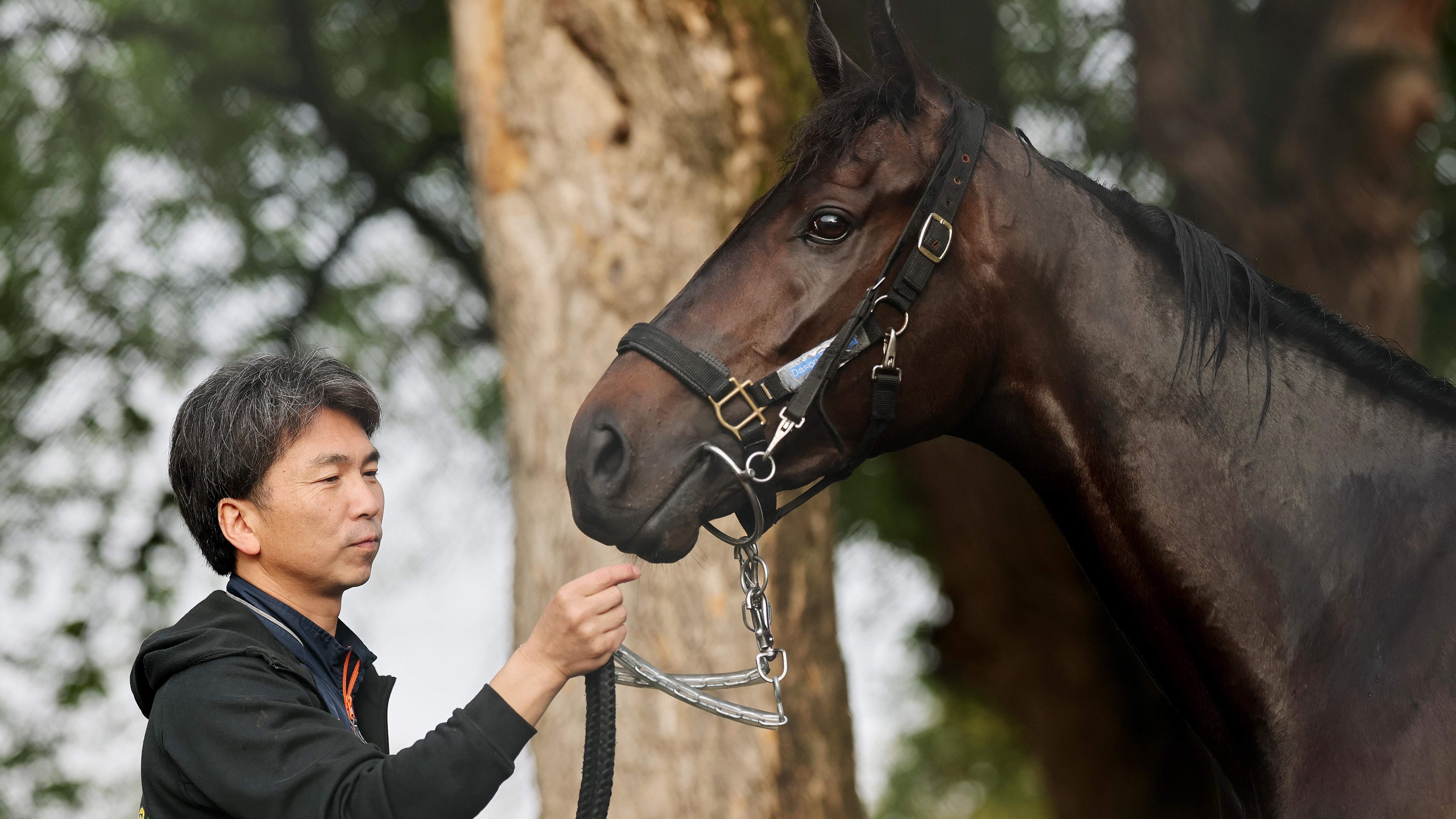 152nd Kentucky Derby - Previews