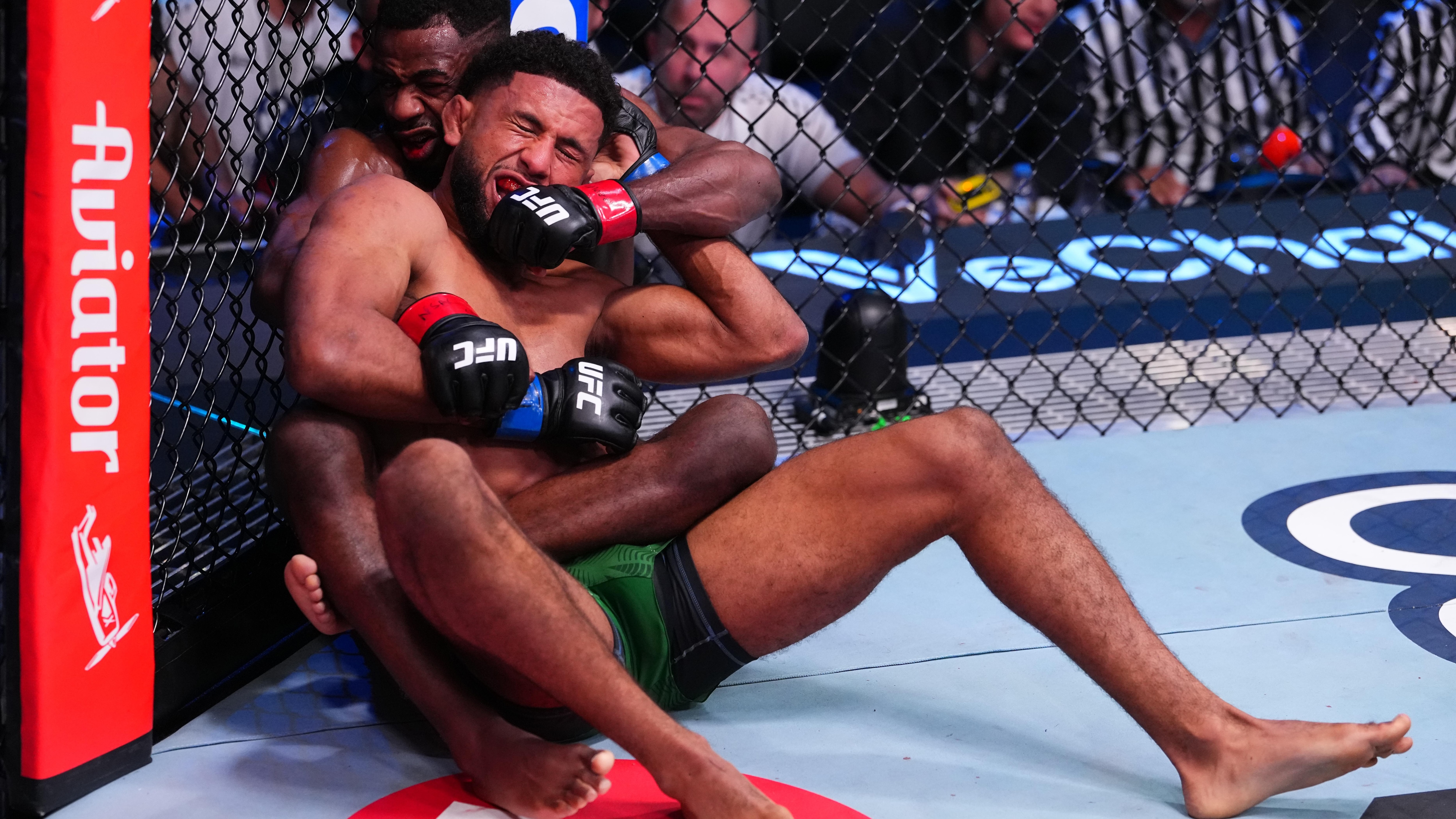 UFC Fight Night: Sterling v Zalal